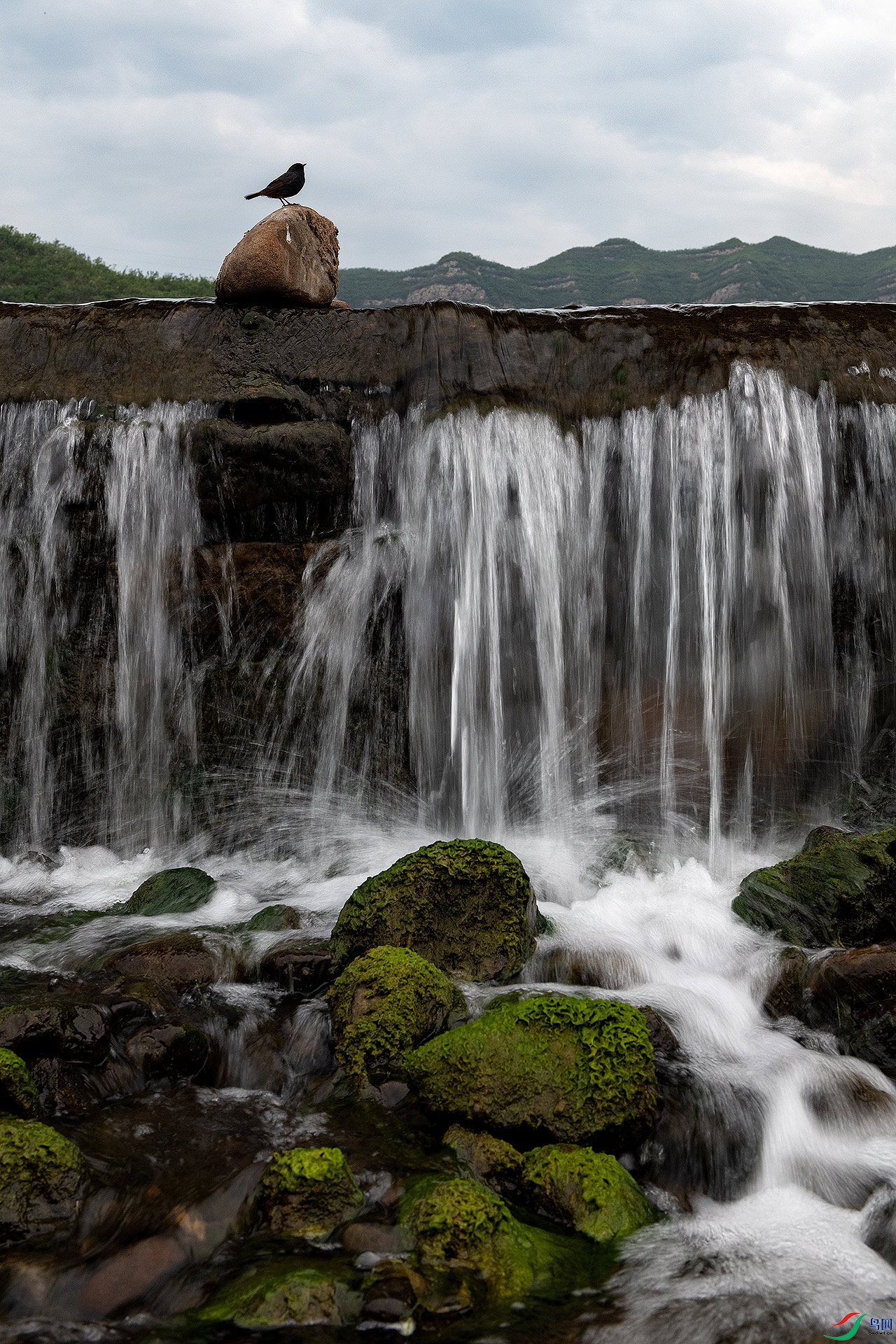 DSC5600-x-1.jpg