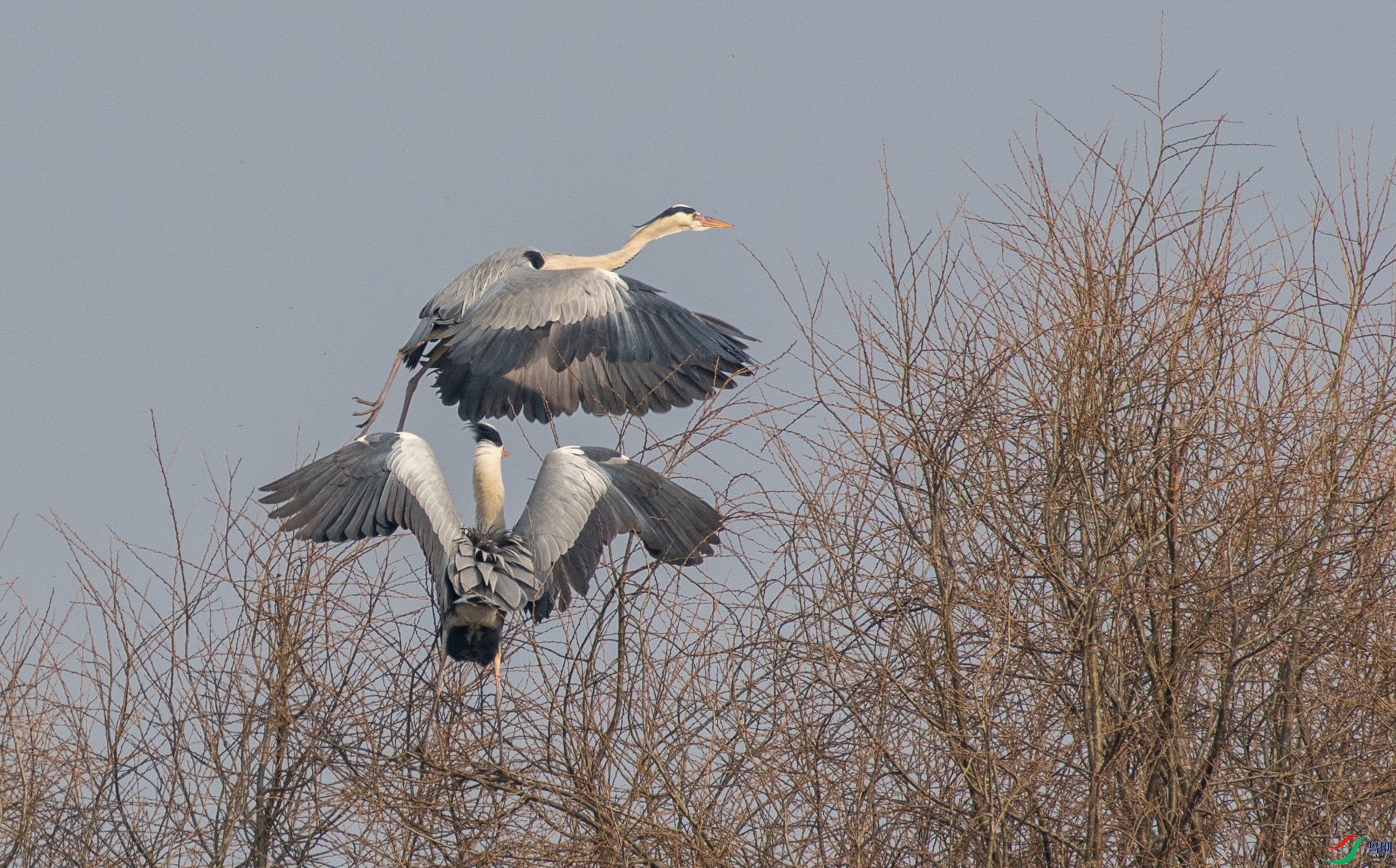 DSC_1244.jpg