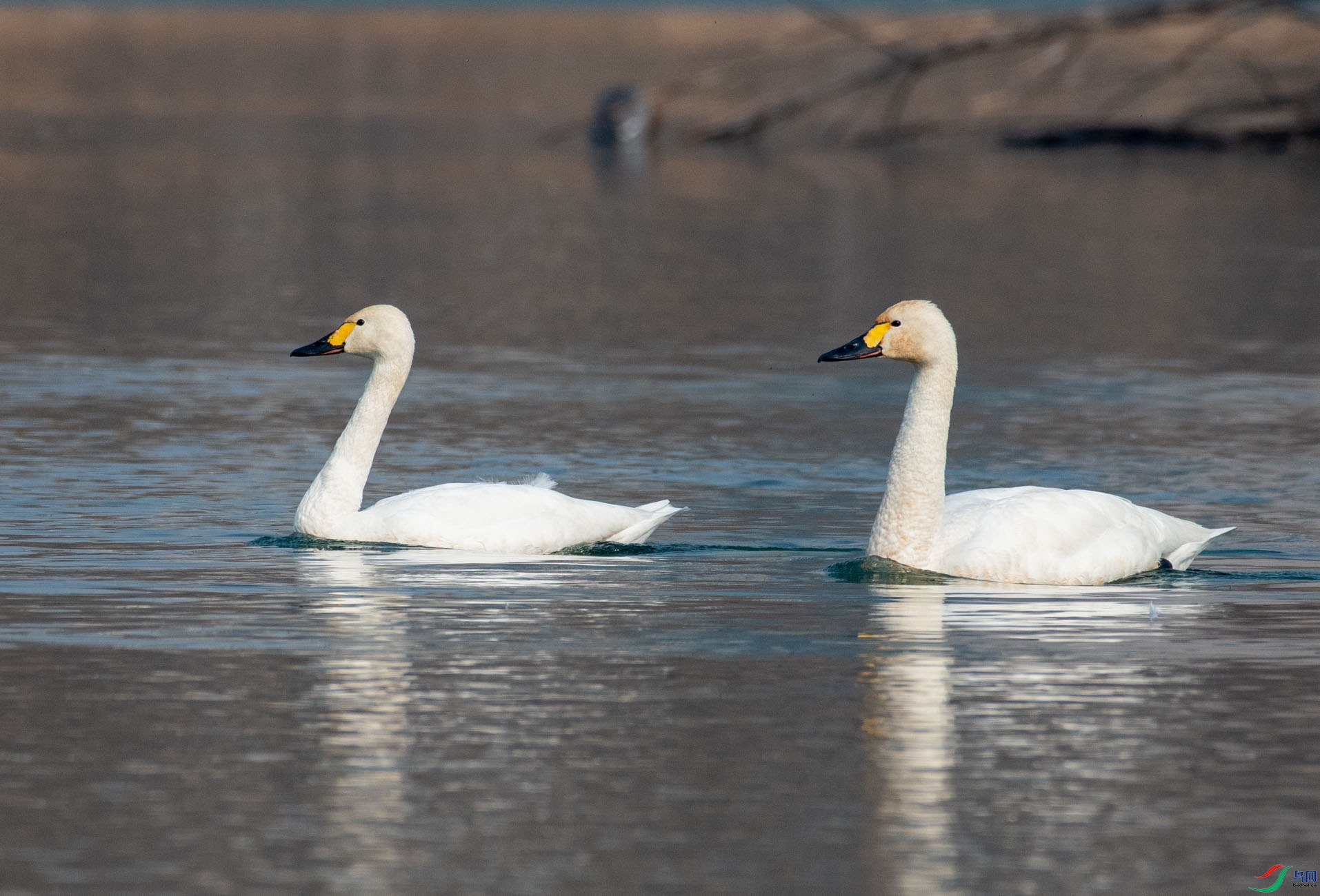 DSC_1322.jpg
