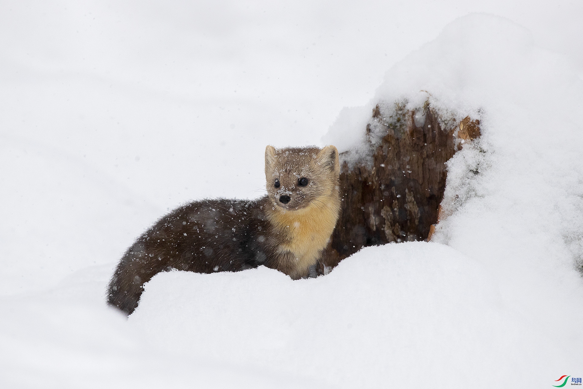 CD0I8223 ����.jpg