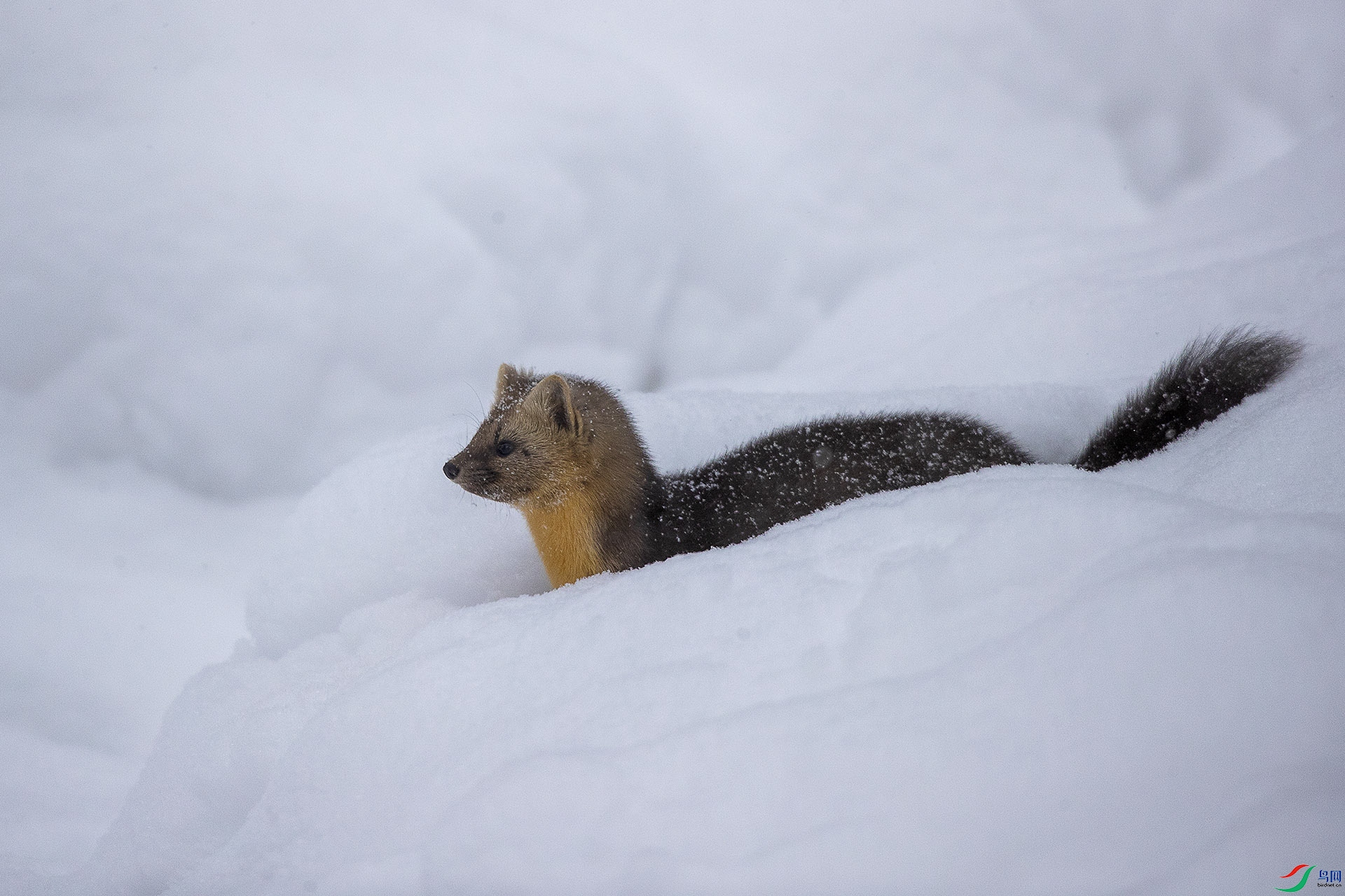 CD0I8495 ����.jpg