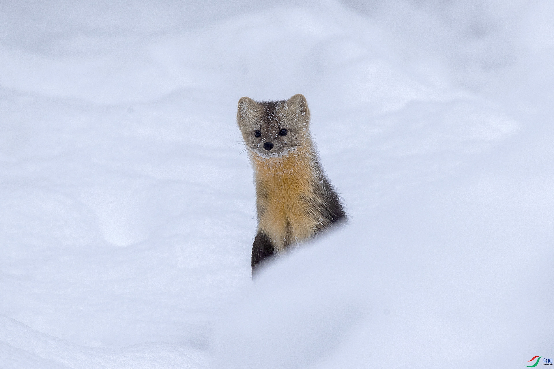 CD0I9103 ����.jpg