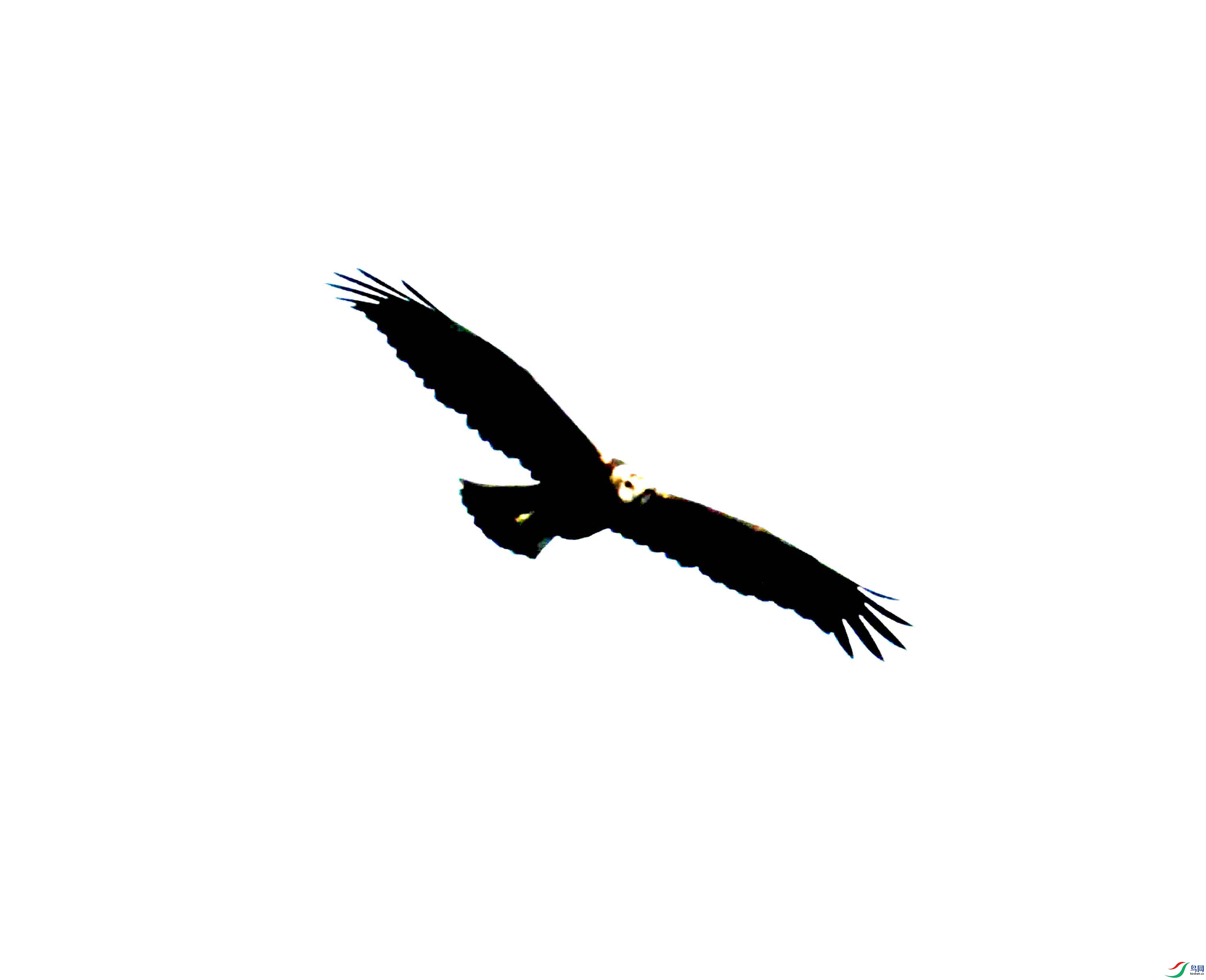 DSC_0389.JPG
