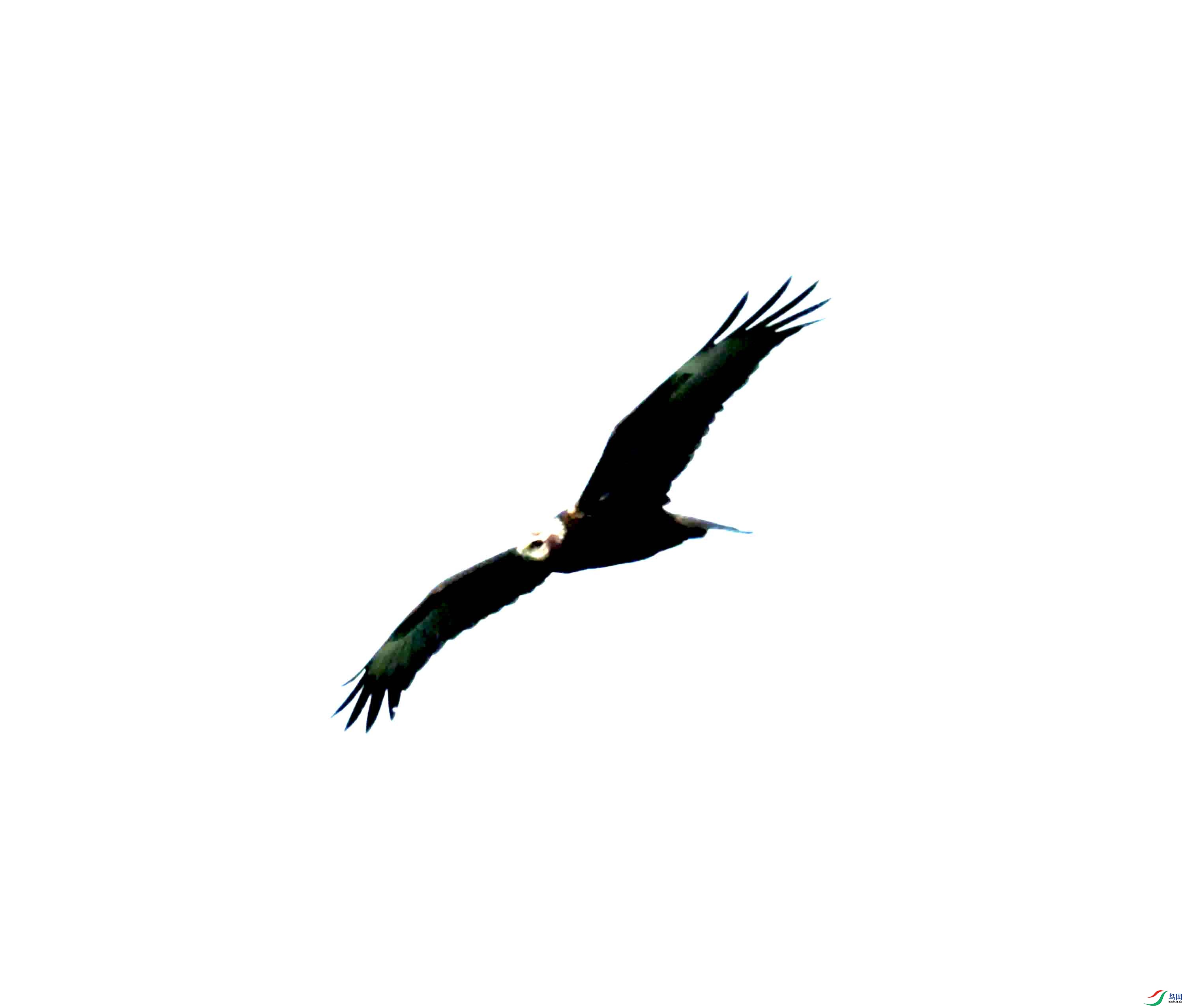 DSC_0406.JPG
