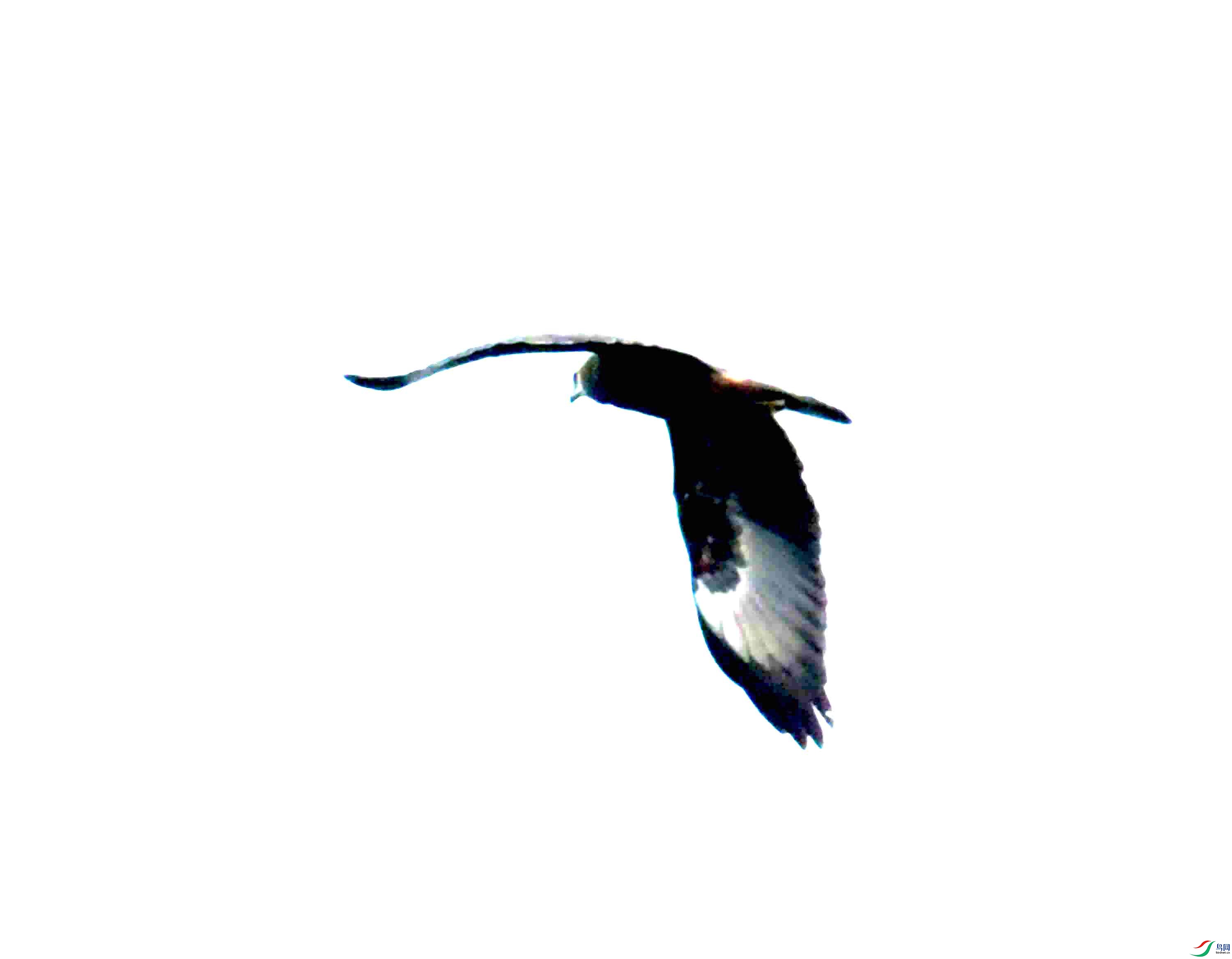 DSC_0419.JPG