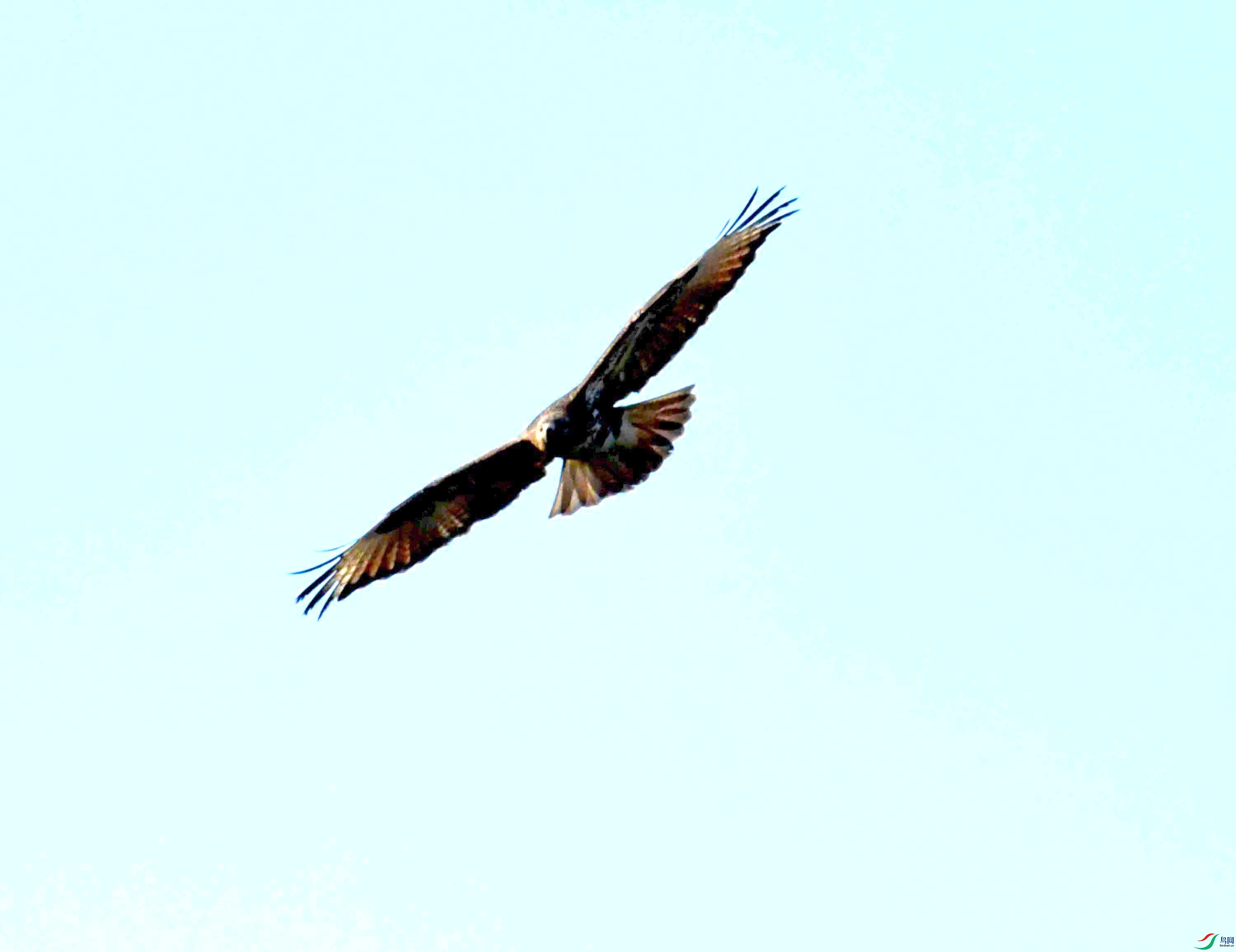 DSC_0726.JPG