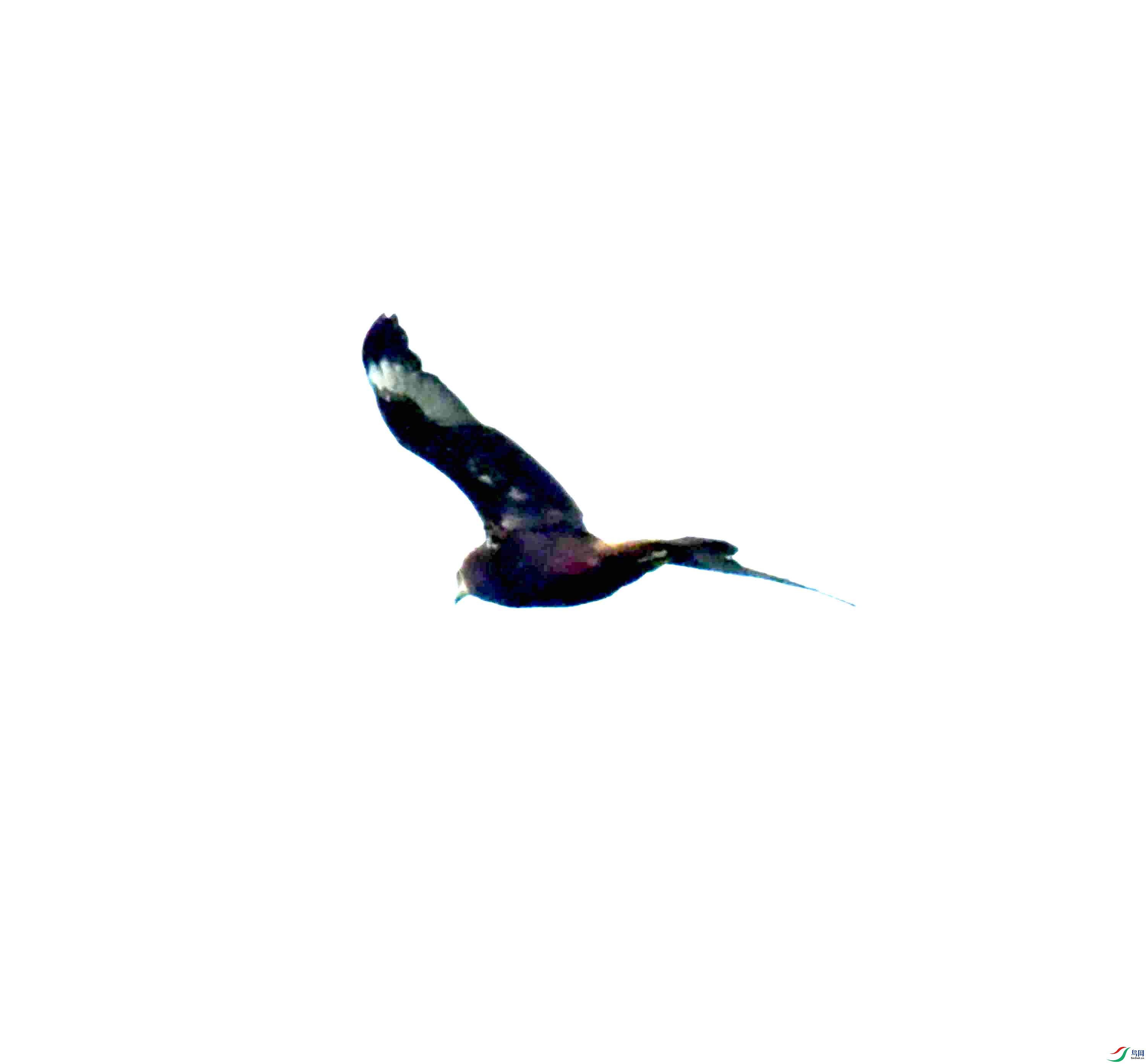 DSC_0421.JPG