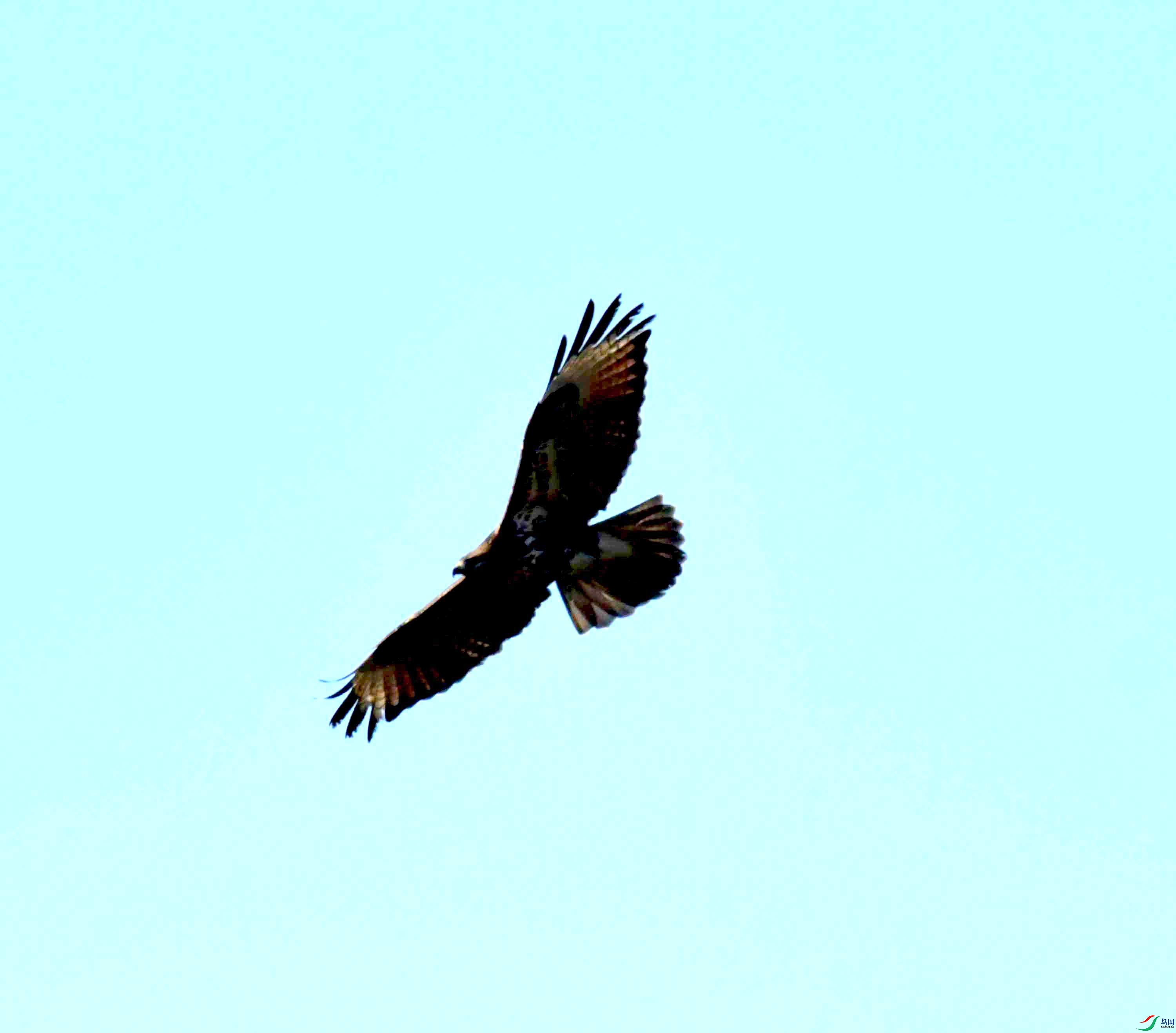 DSC_0728.JPG