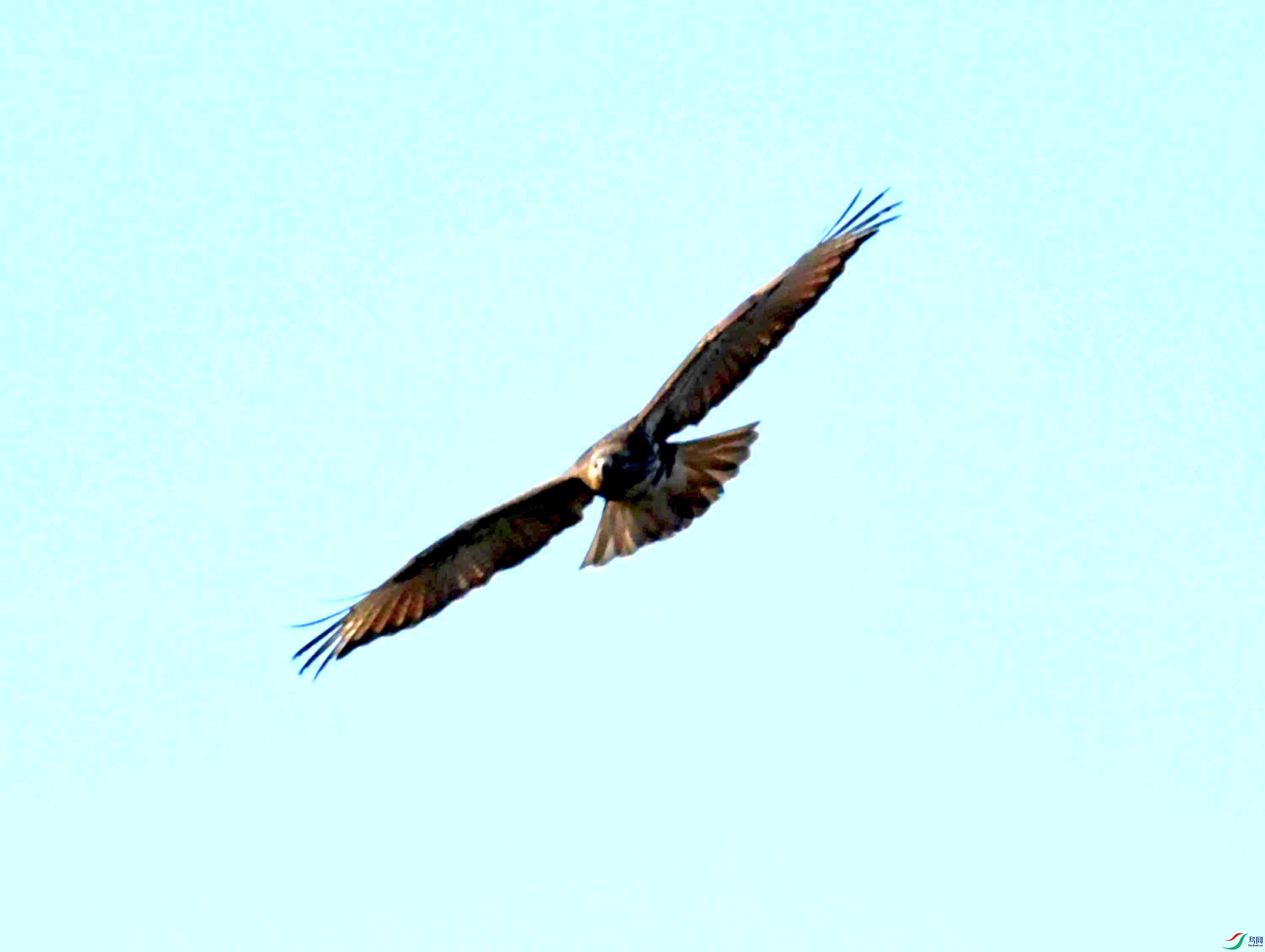 DSC_0725.JPG