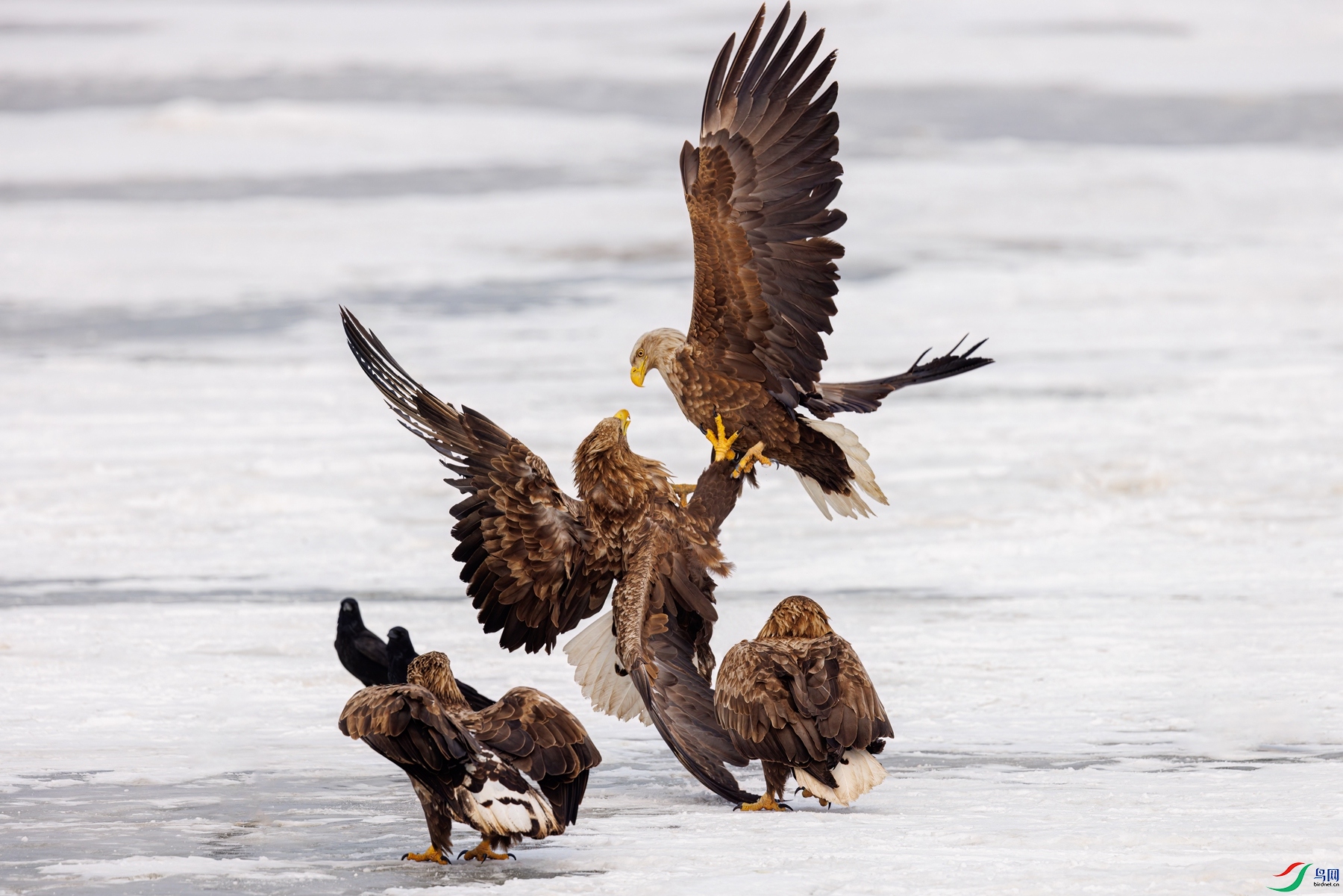 274A0471 denoise_����.jpg