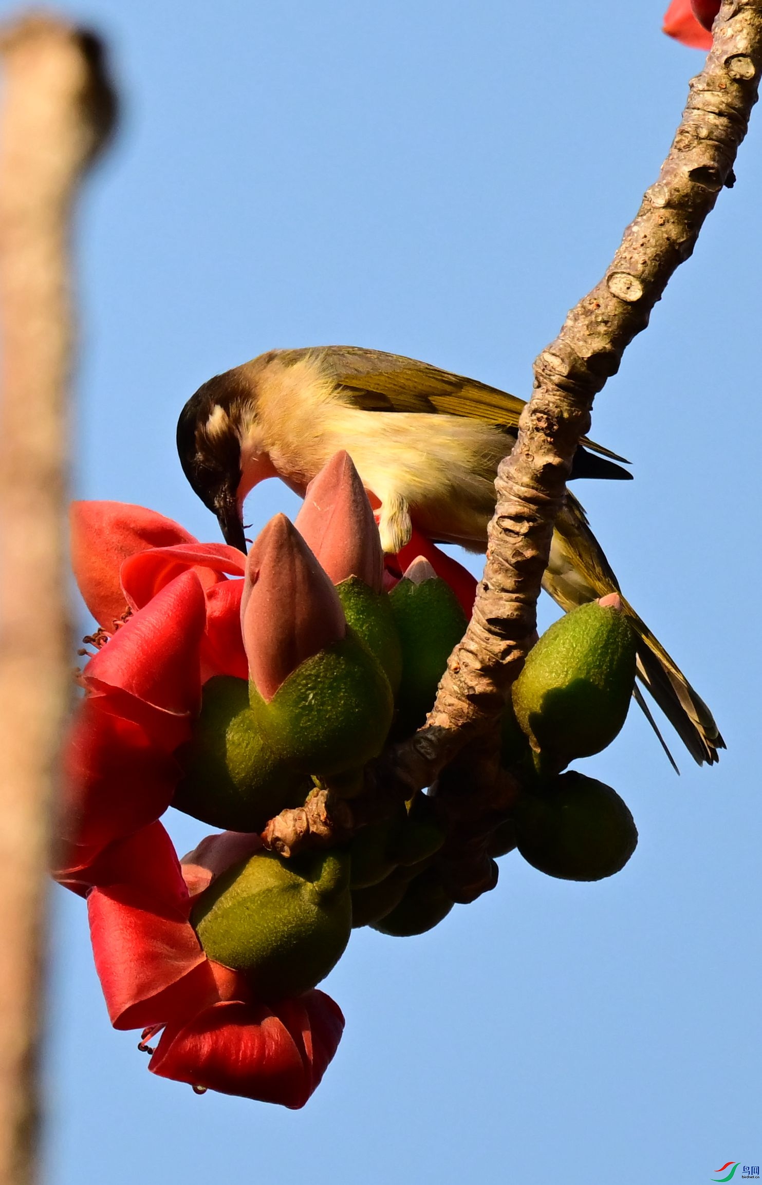 DSC_3884_1.jpg