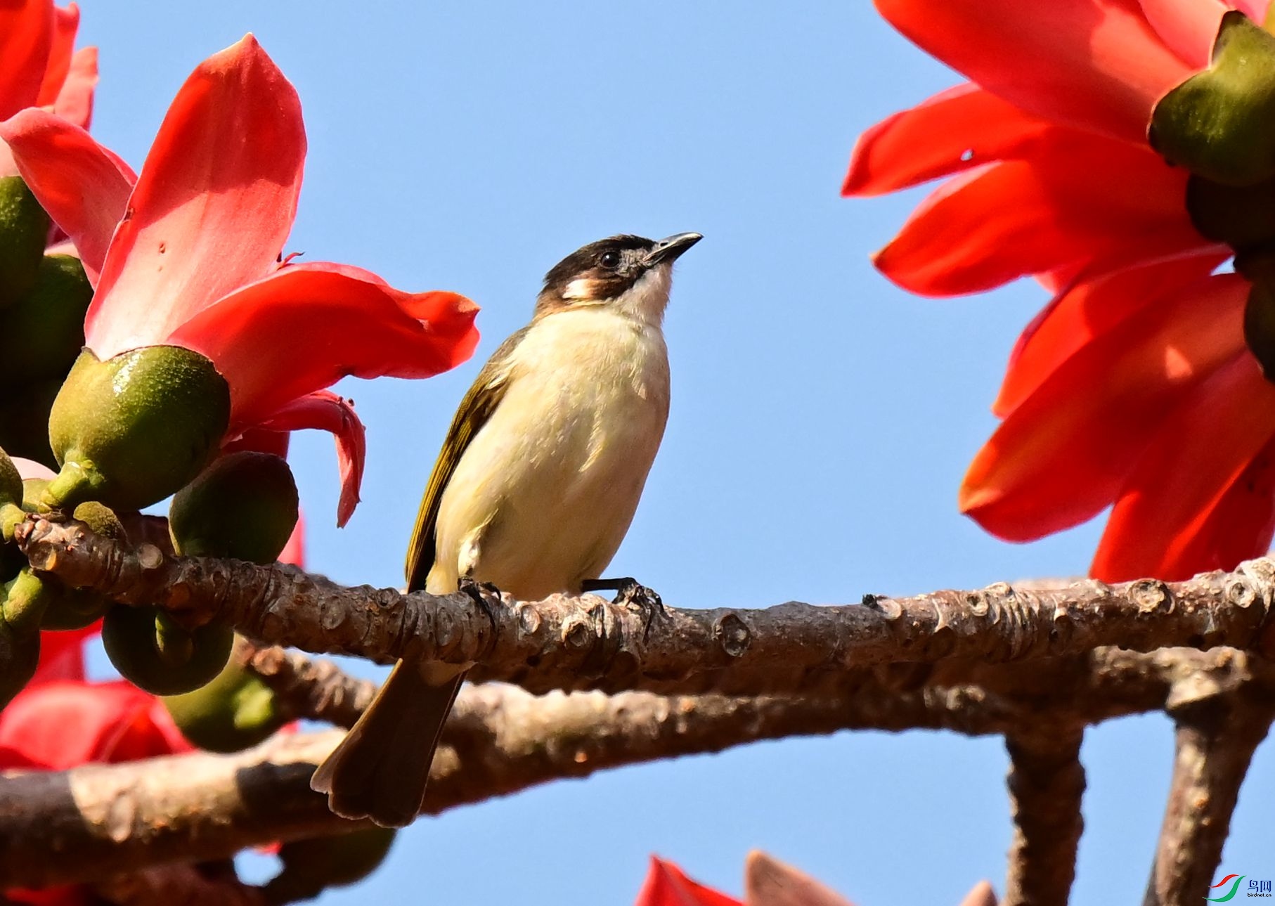 DSC_4578_1.jpg