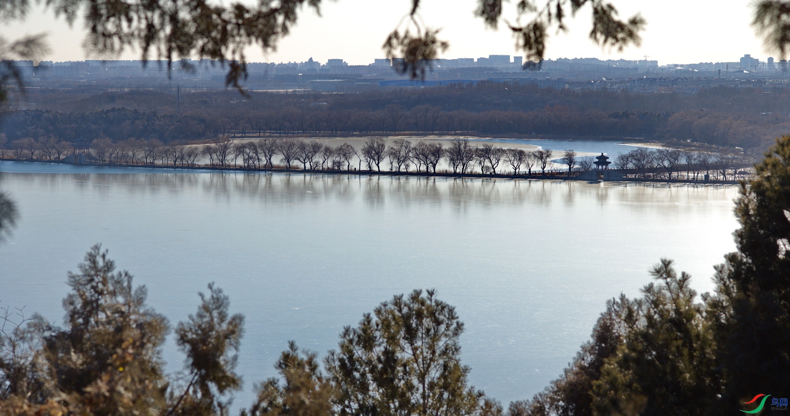 L1001085-1.jpg