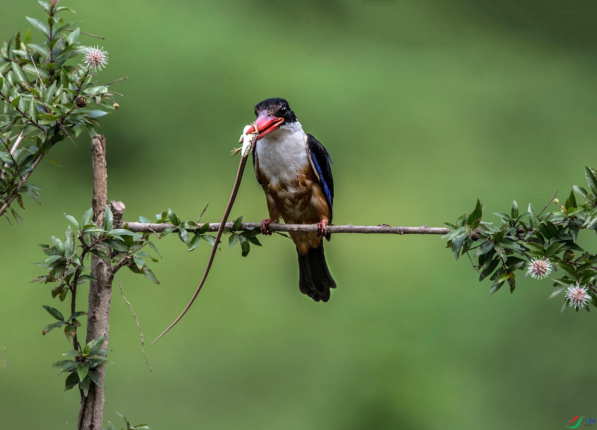 BW4Q8600 - ����.jpg