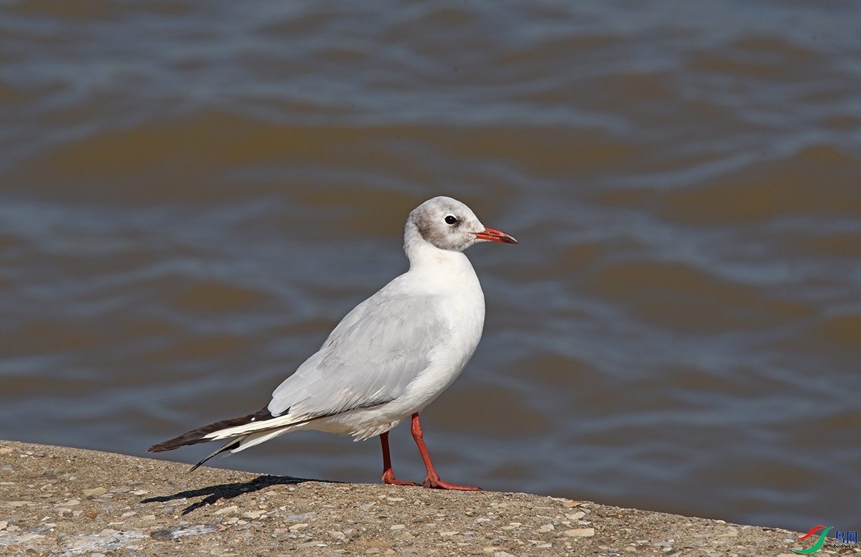 DSC_5160.jpg