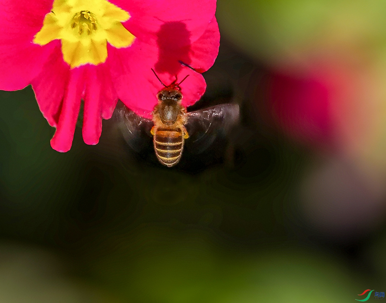 0000583A0975 ����788k����ɰ�.jpg