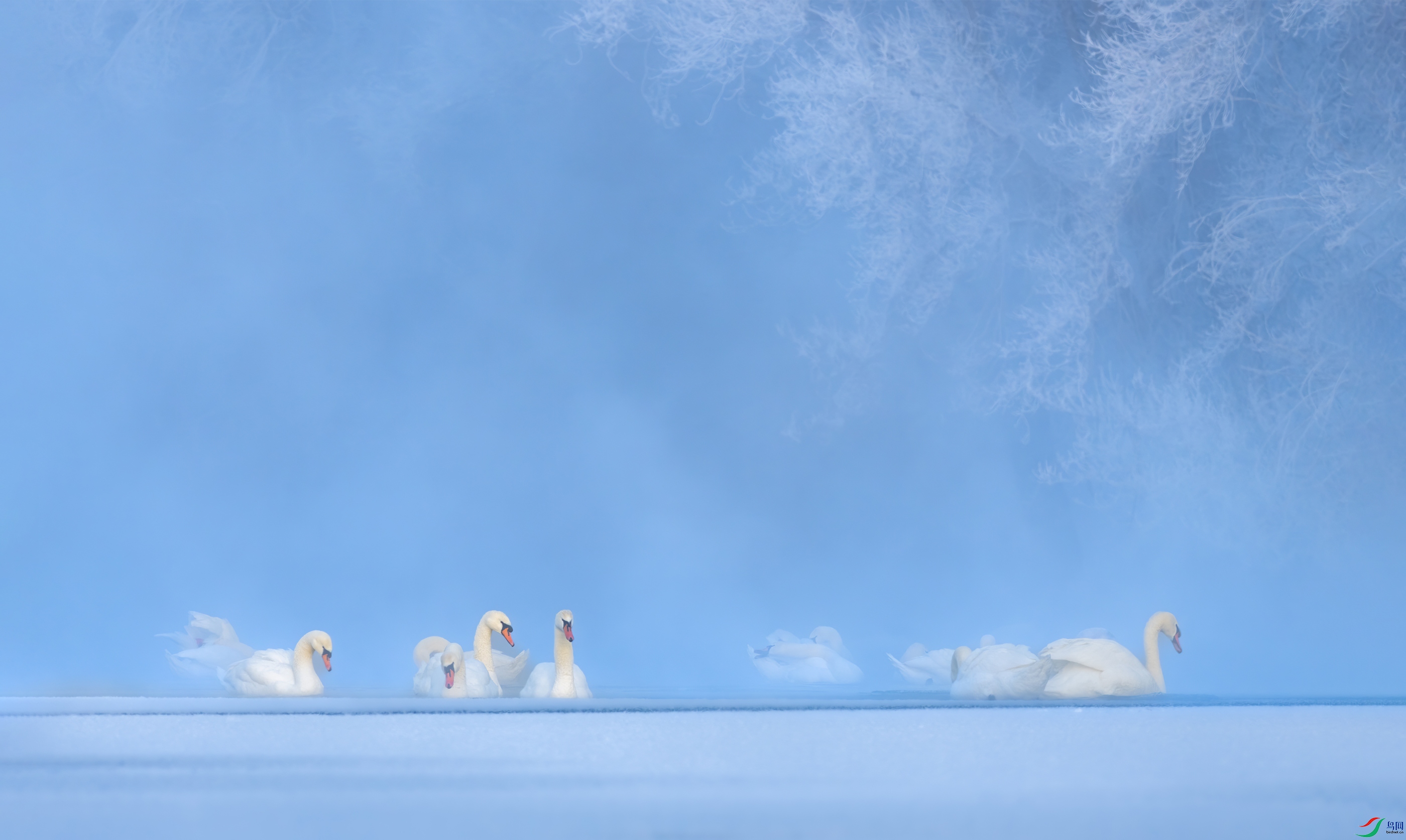DSC_2103-12.jpg