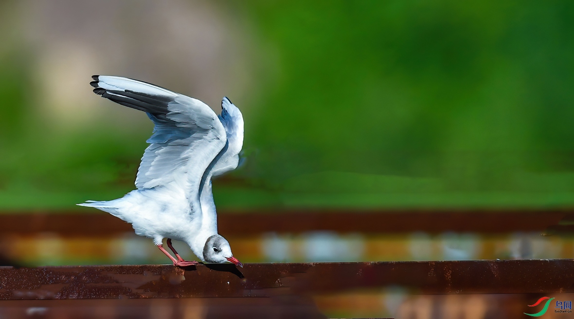 DSC_4696.jpg