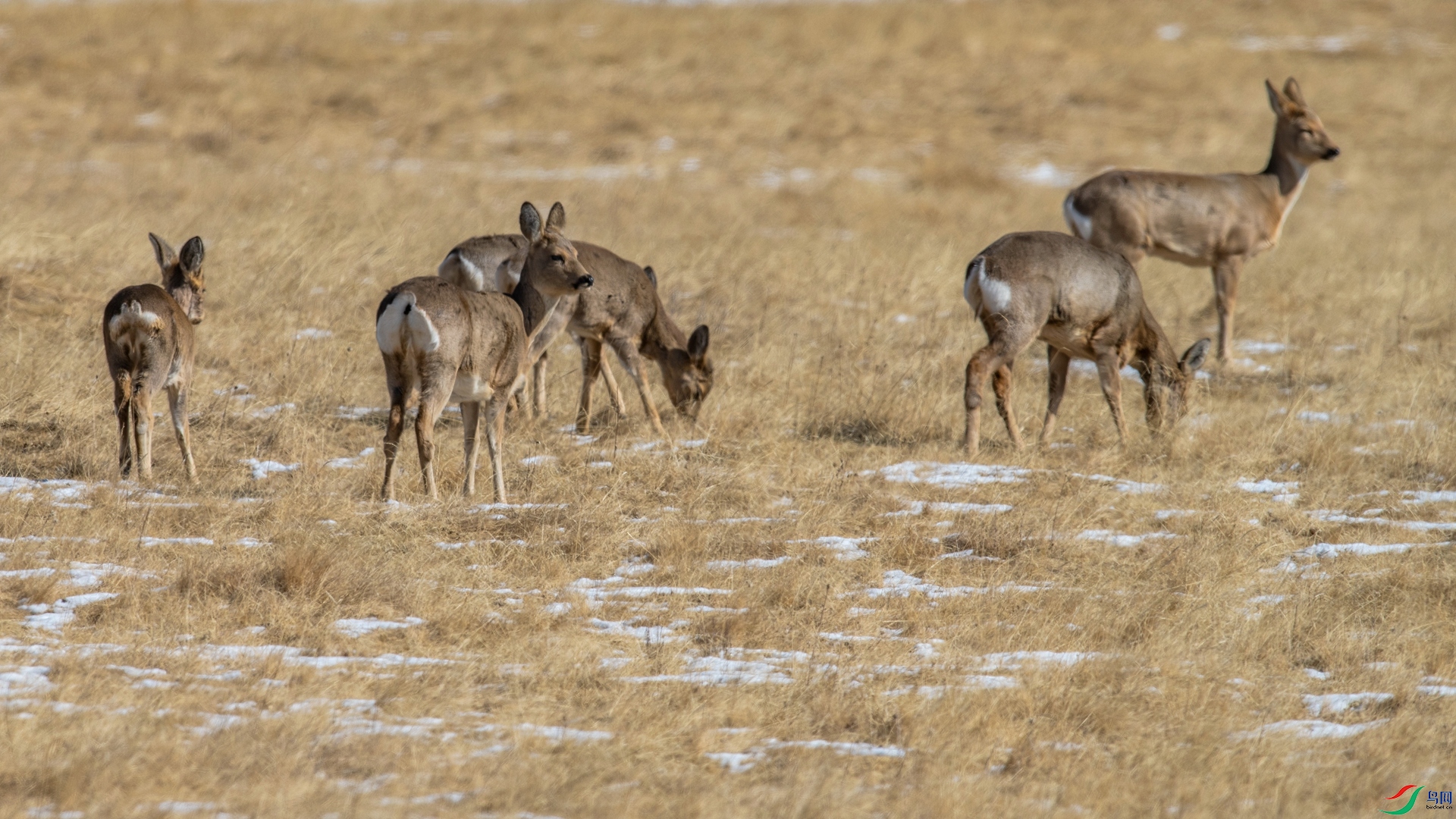 _DSC5460_����.jpg