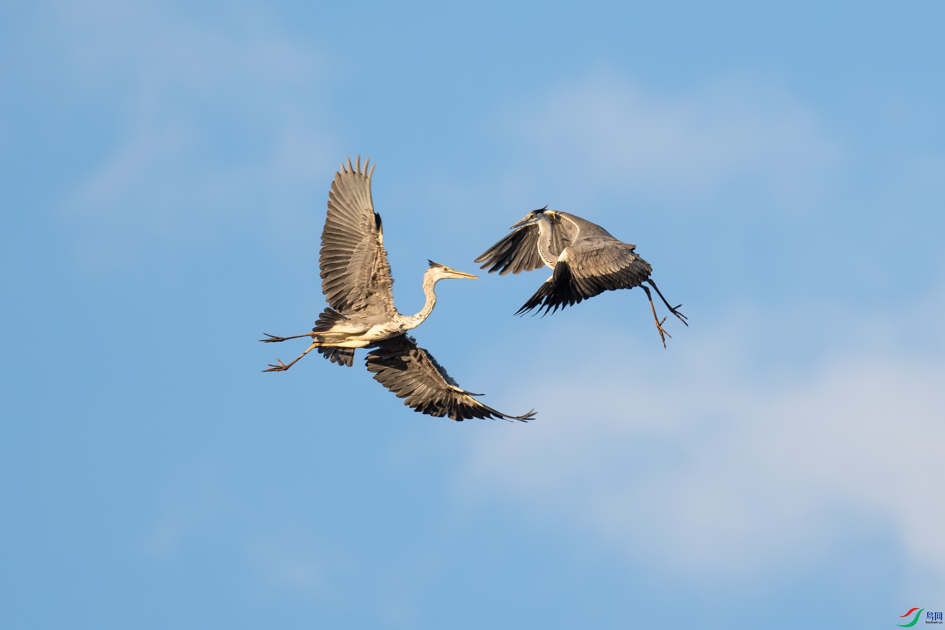 DSC_4736-2.jpg