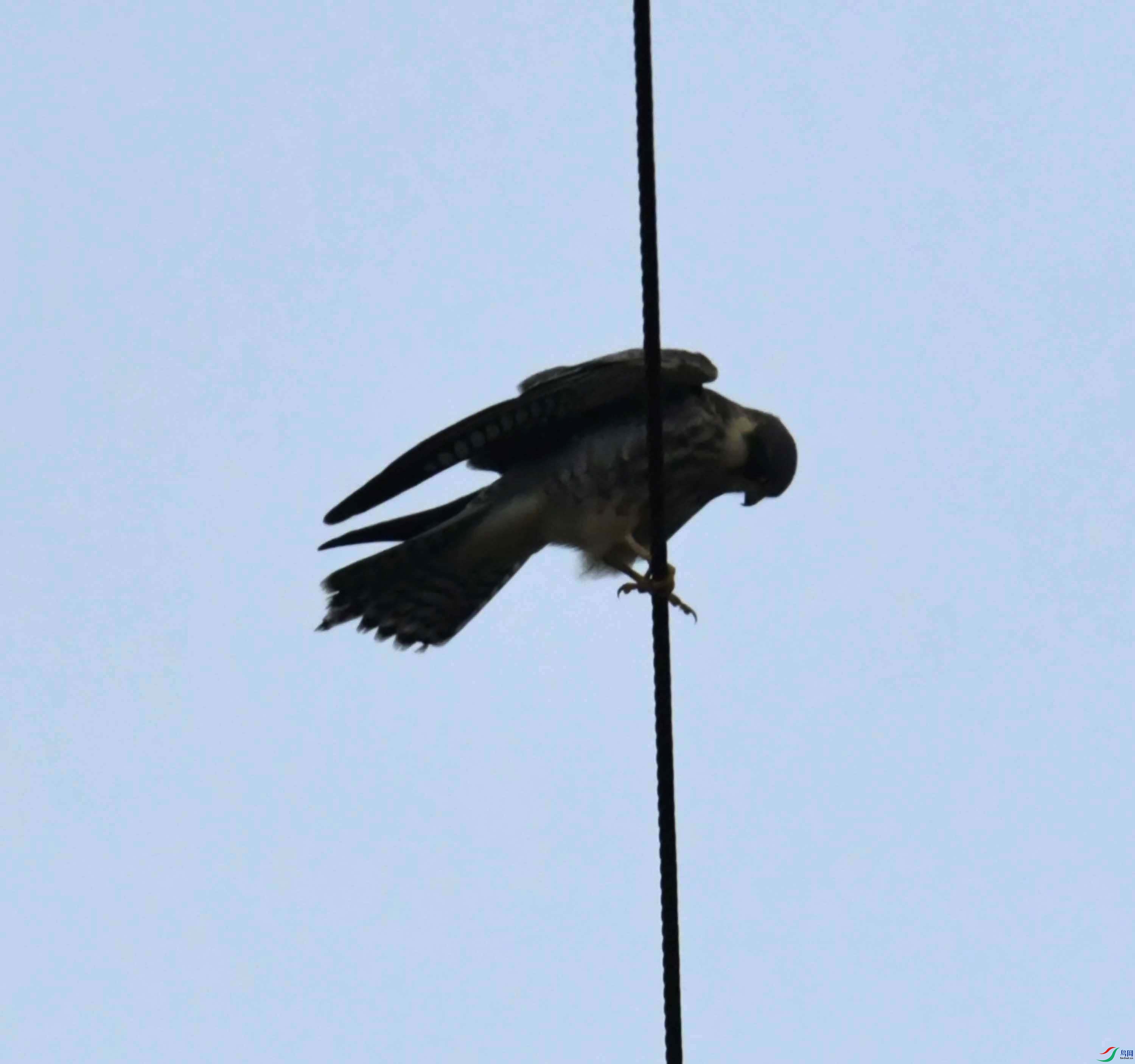 DSC_6206.JPG