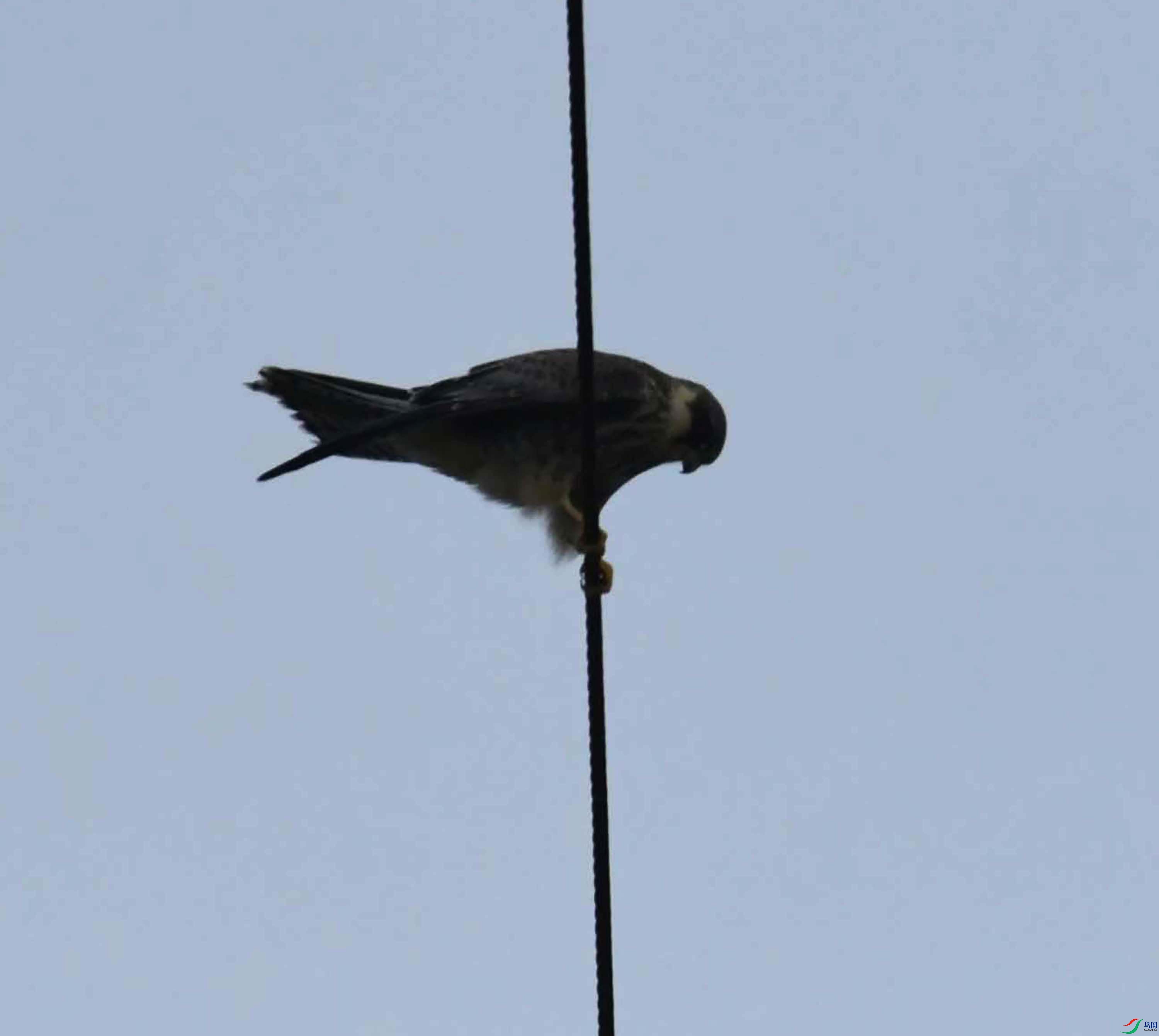 DSC_6205.JPG