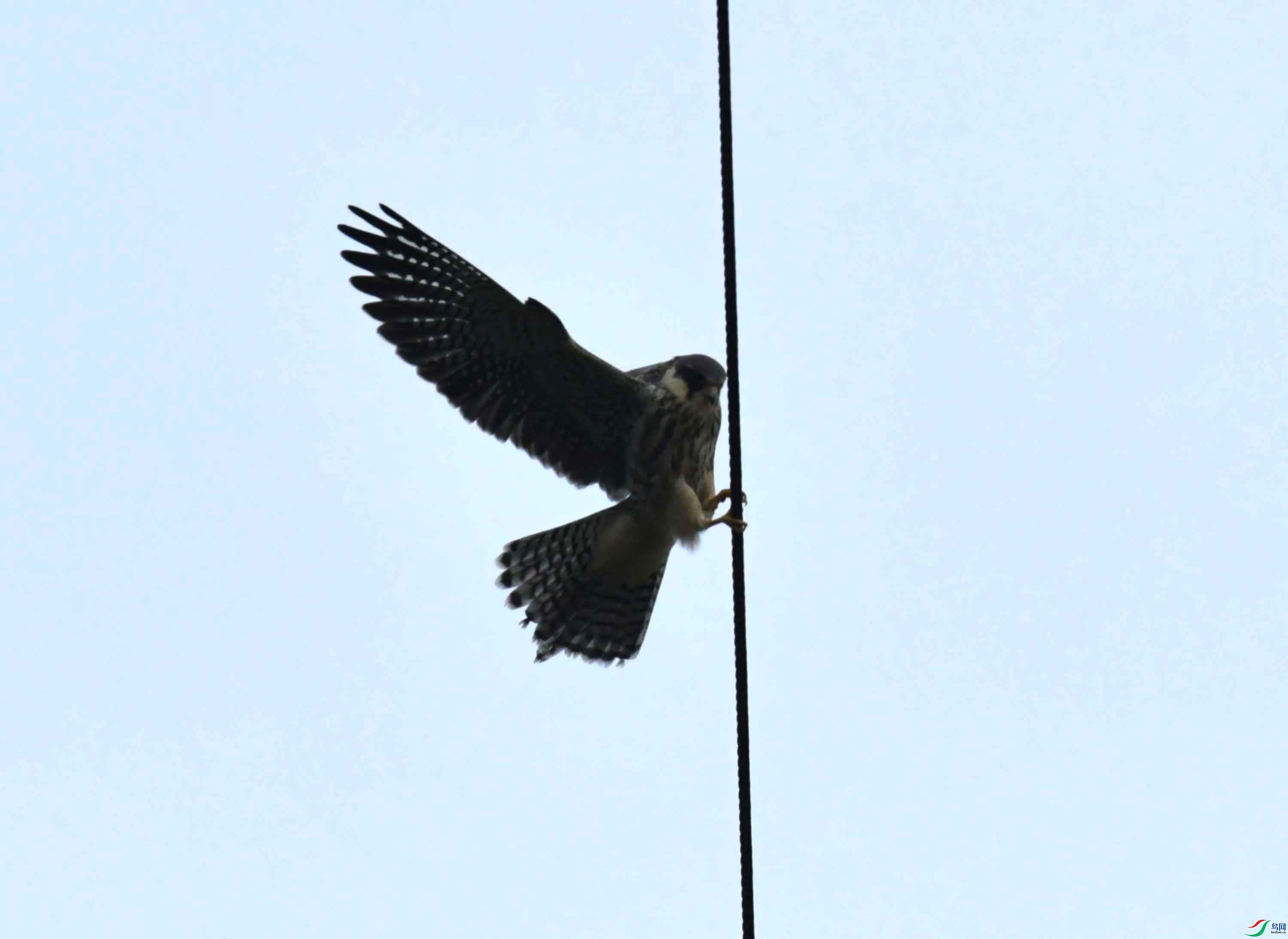 DSC_6192.JPG