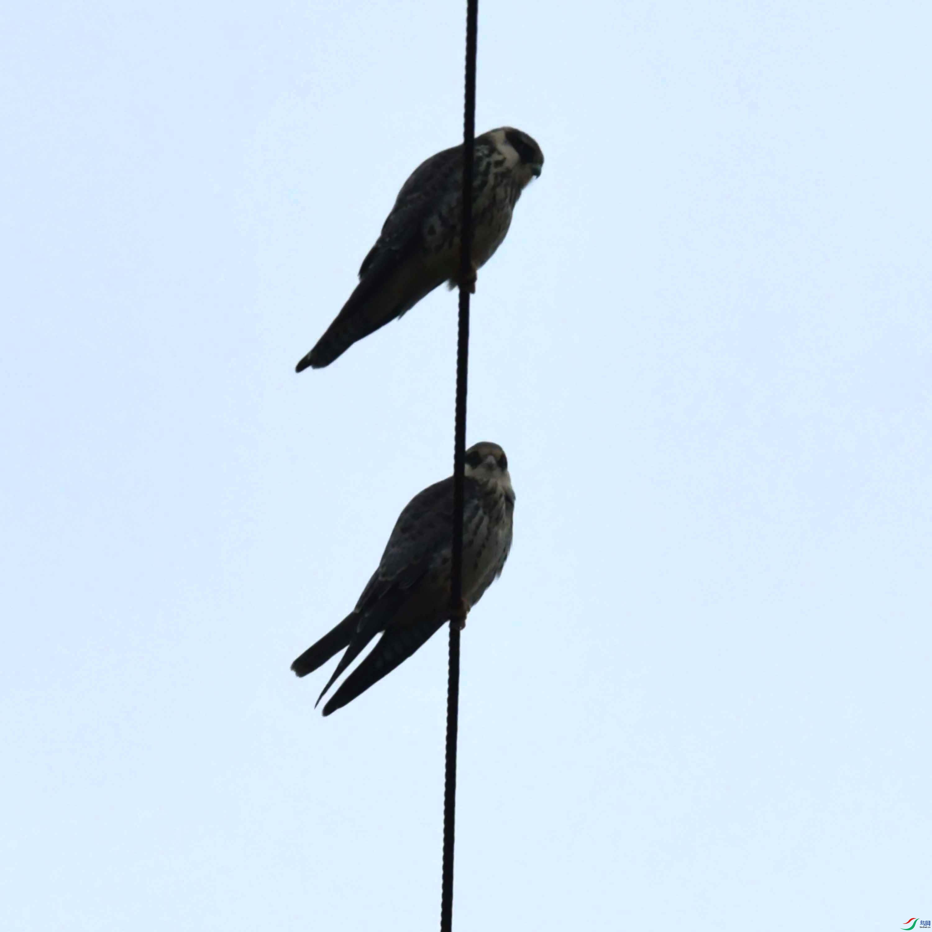 DSC_6314.JPG