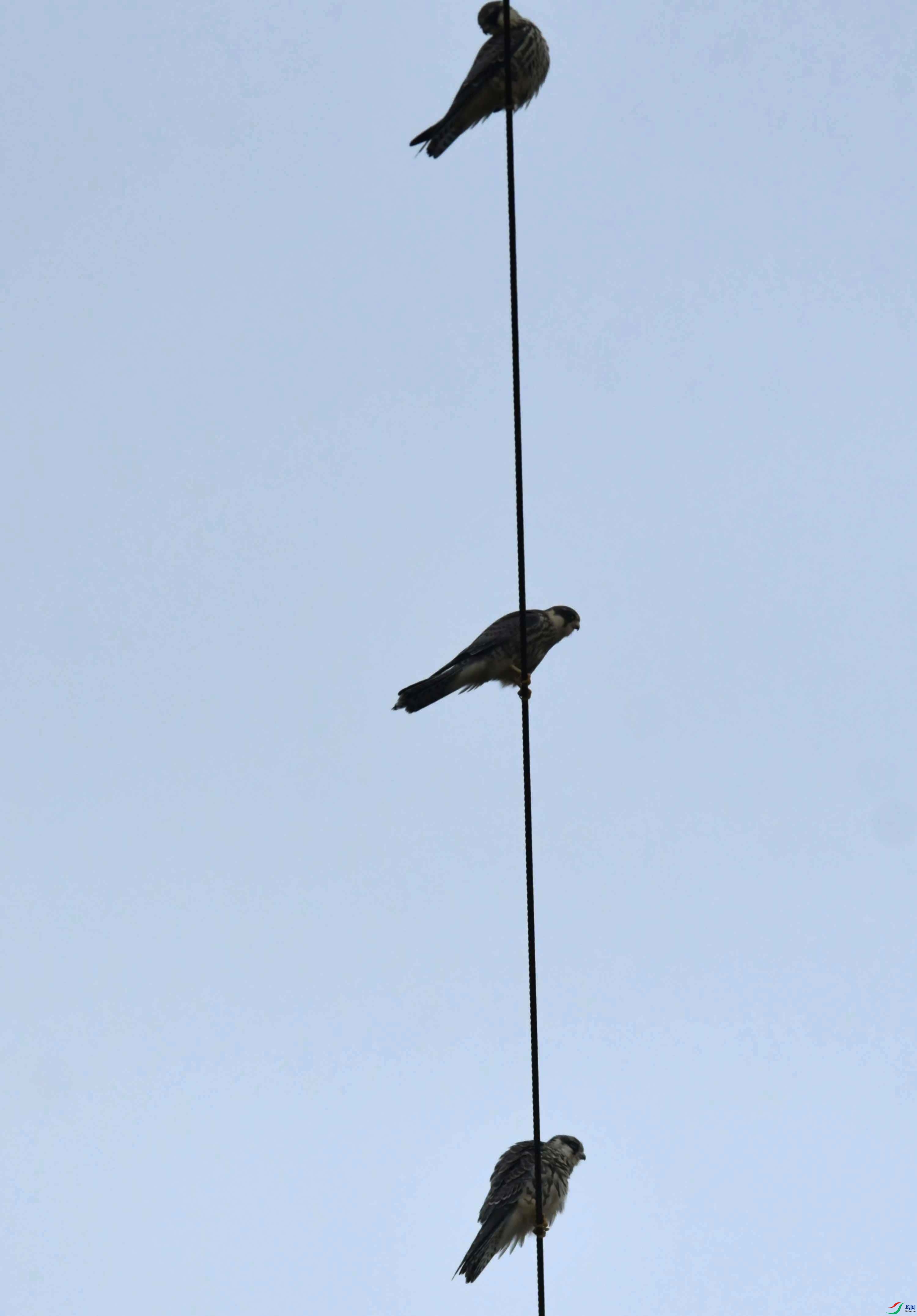 DSC_6211.JPG