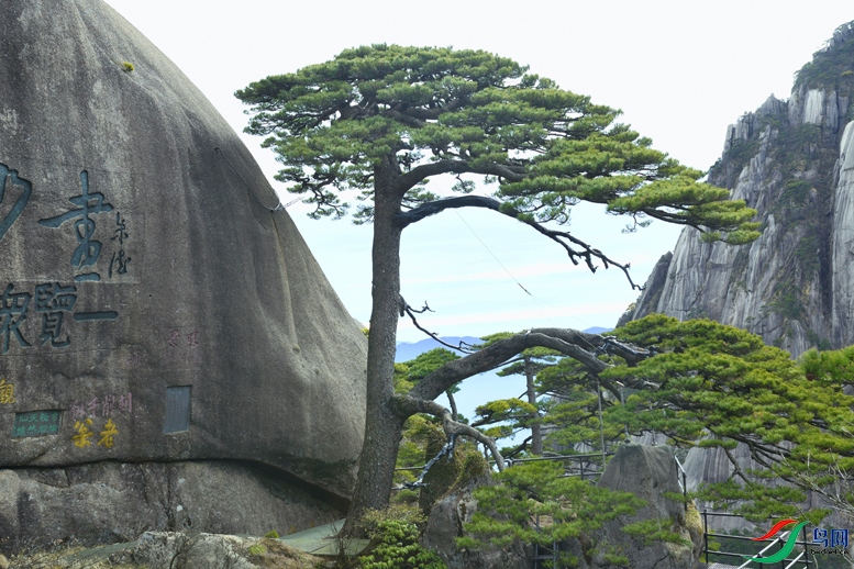 ��ɽӭ����