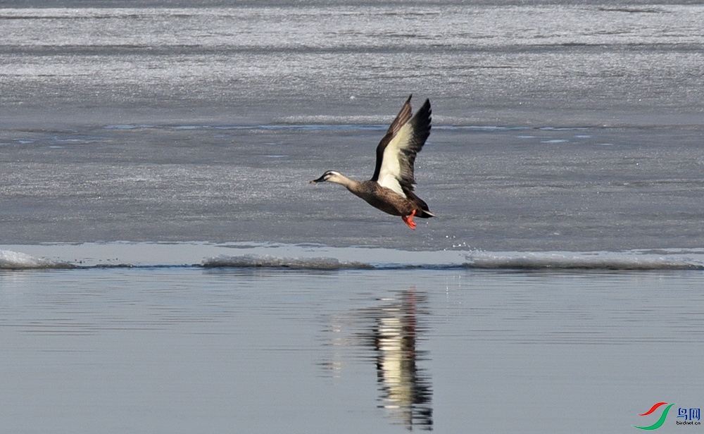 DSC_2400.jpg