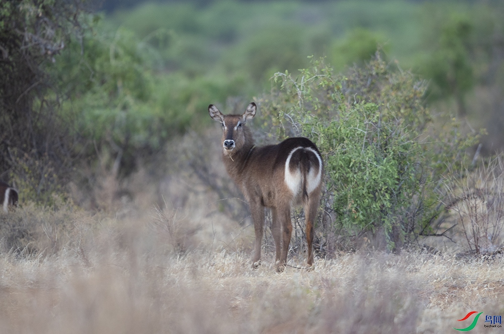 ��ˮ�� (2).jpg