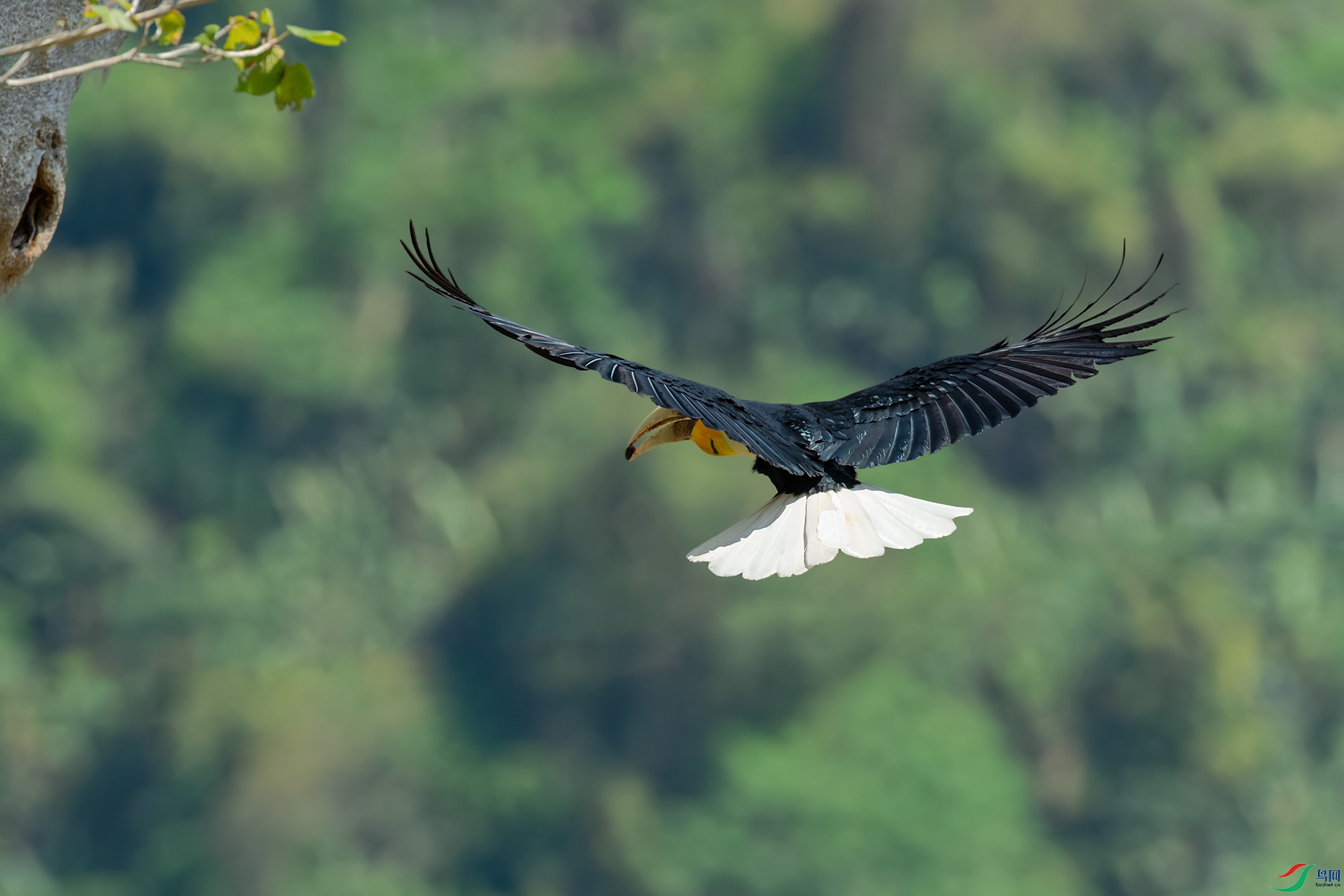 3DSC_0167_DxOa.jpg