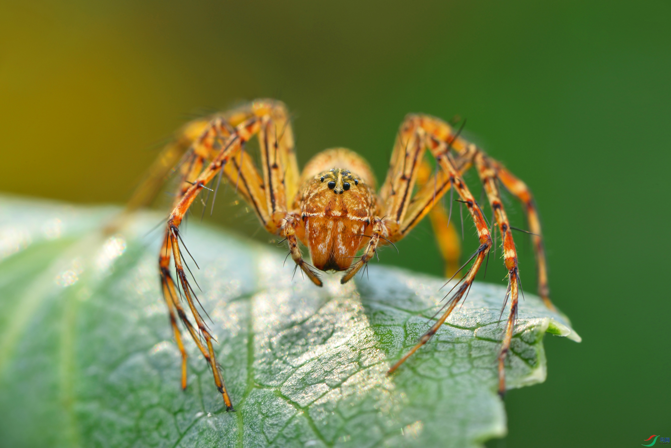 DSC_8408 ����.jpg