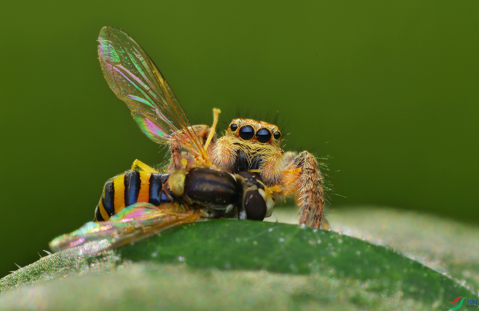 DSC_8738 ����.jpg