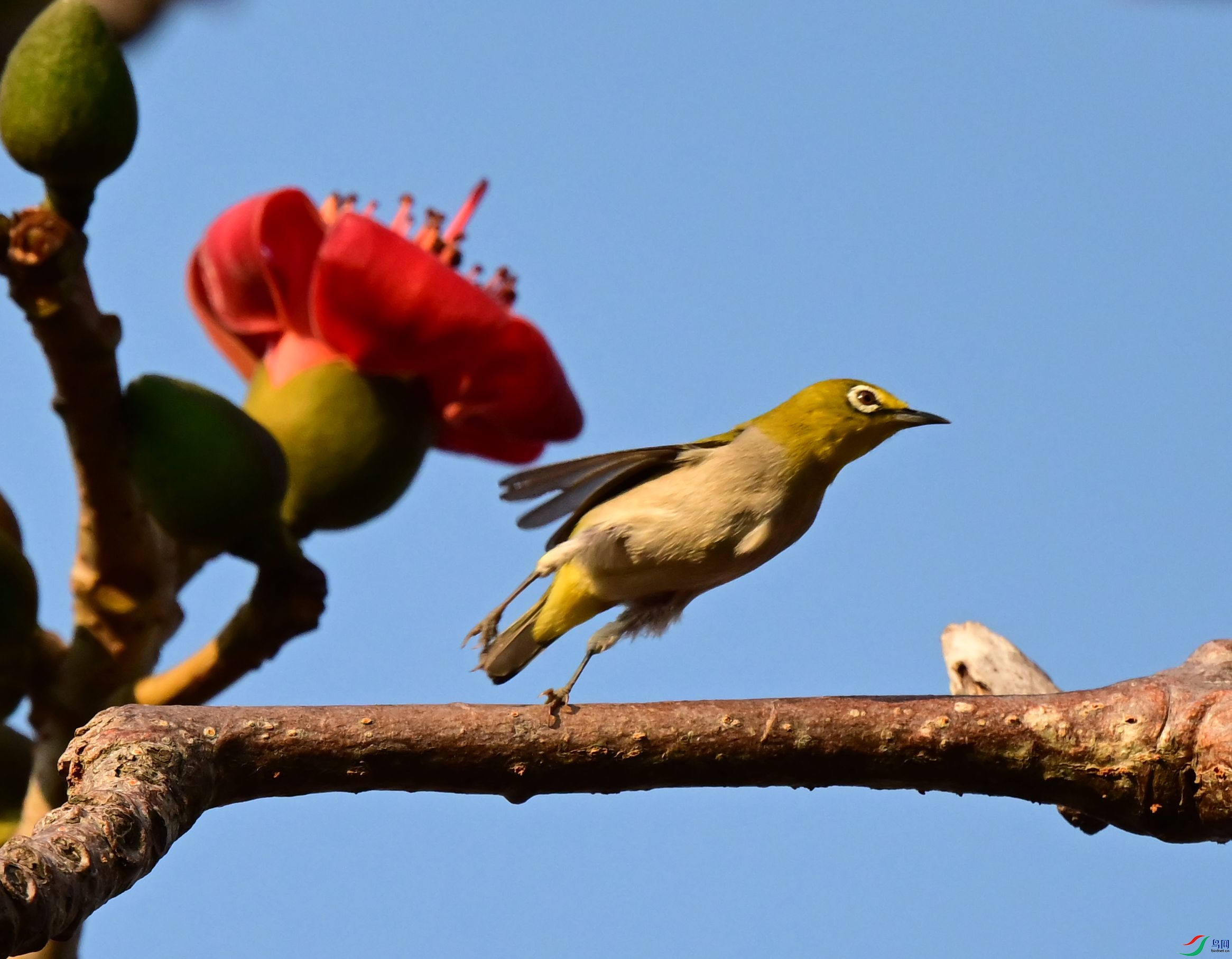 DSC_3947_1.jpg