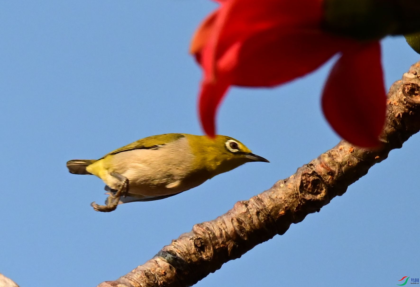 DSC_3950_1.jpg