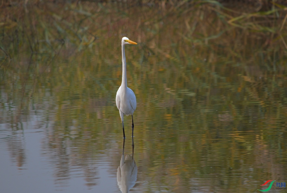 DSC_0758.jpg