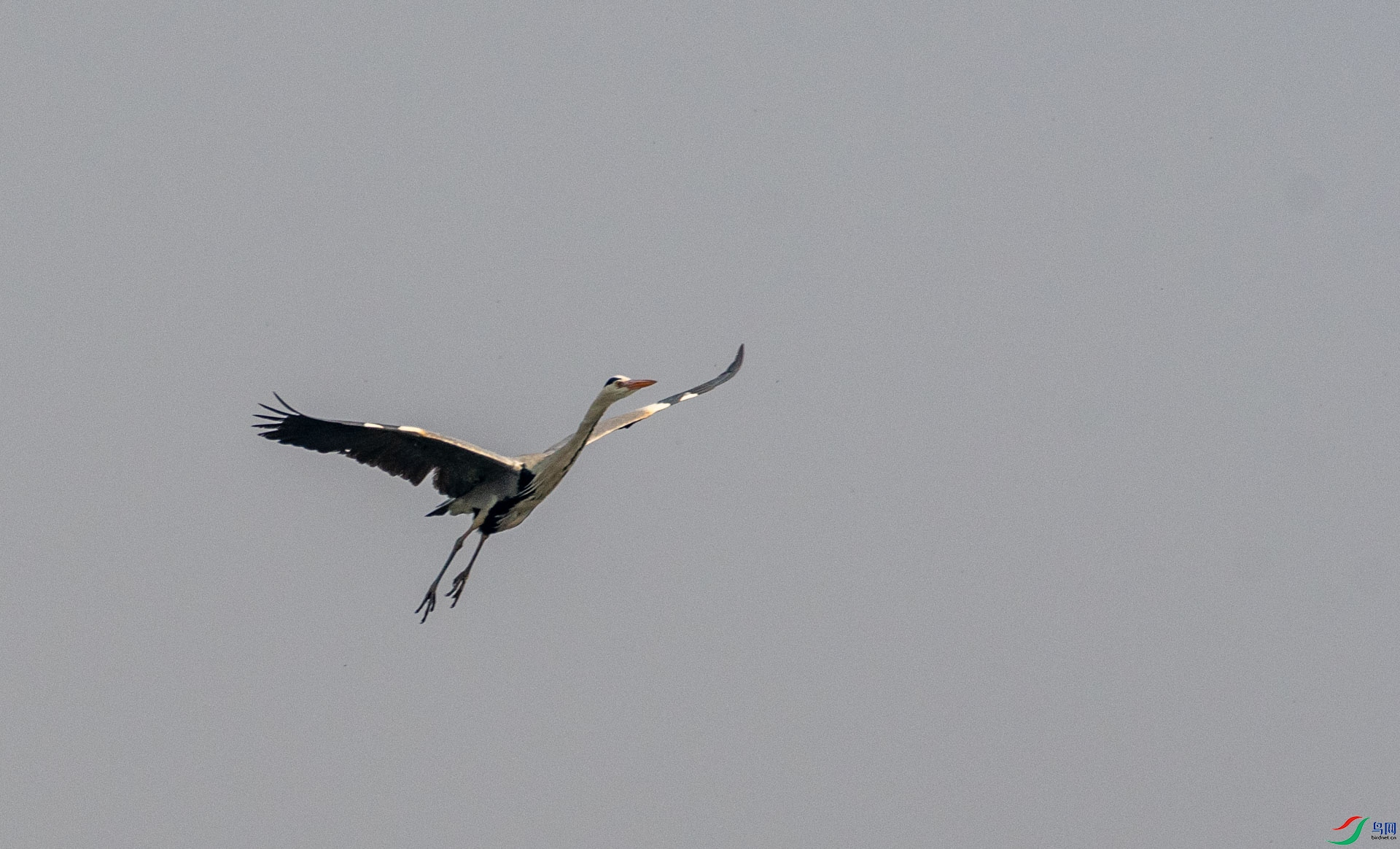 DSC_1138.jpg