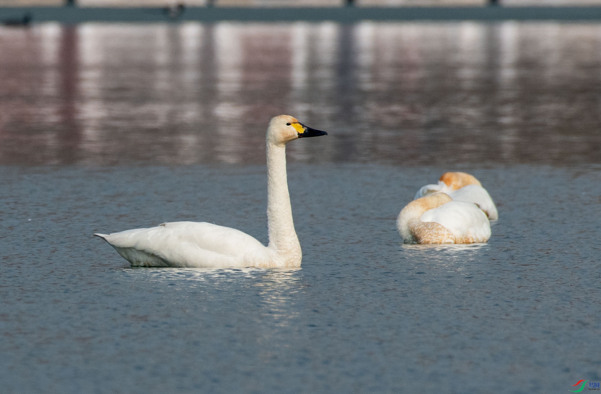 DSC_1163.jpg