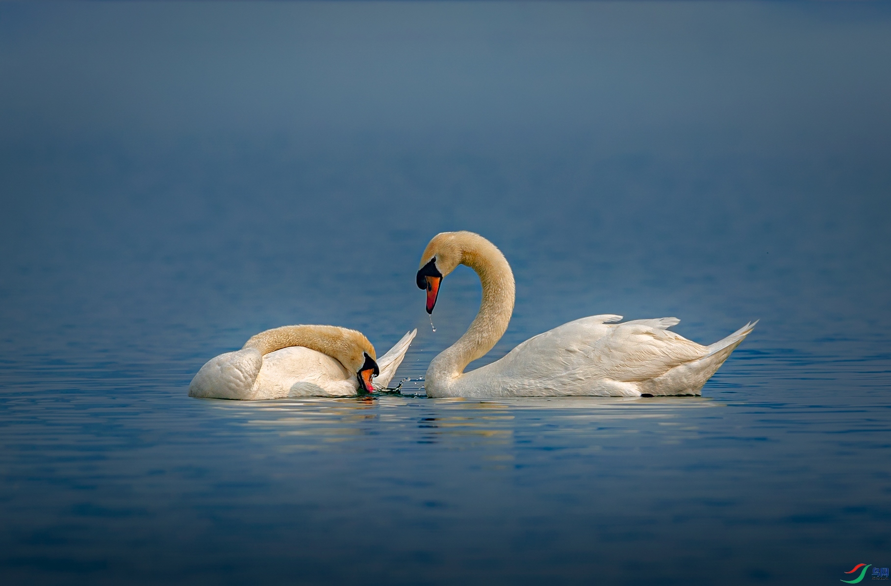 055A5899 ���� 2.JPG