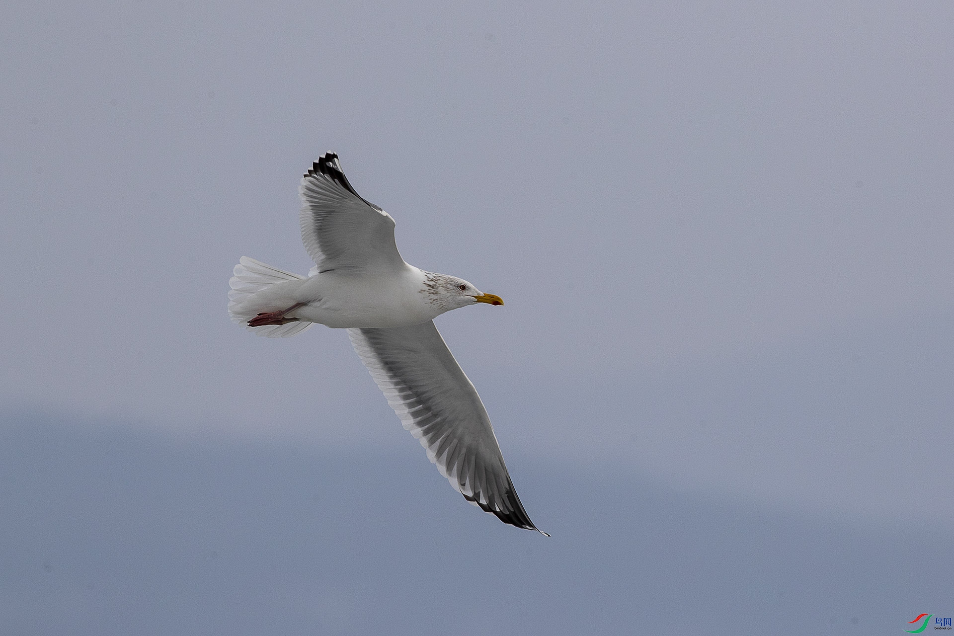 CD0I5589 ����.jpg