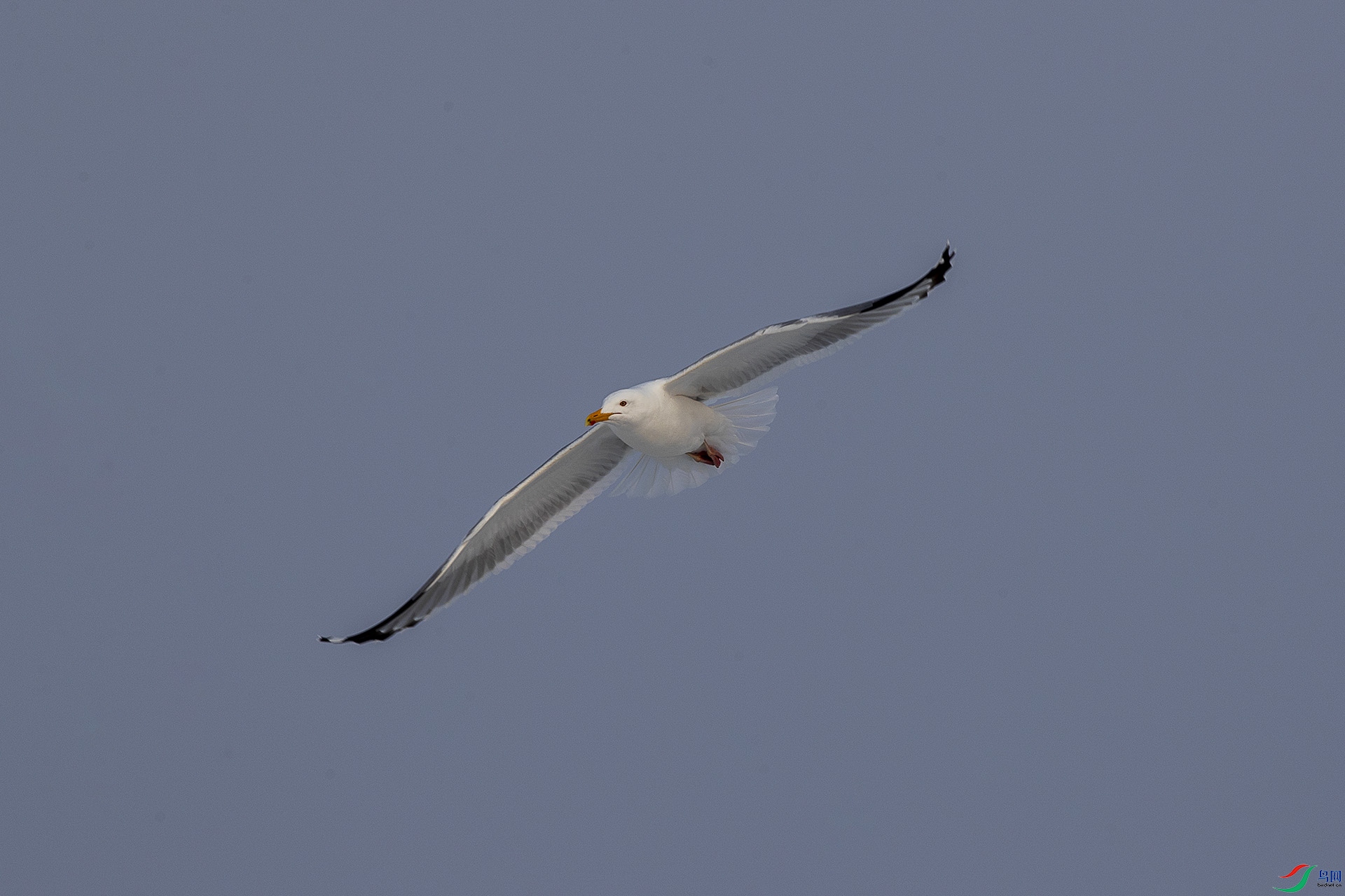 CD0I7618 ����.jpg