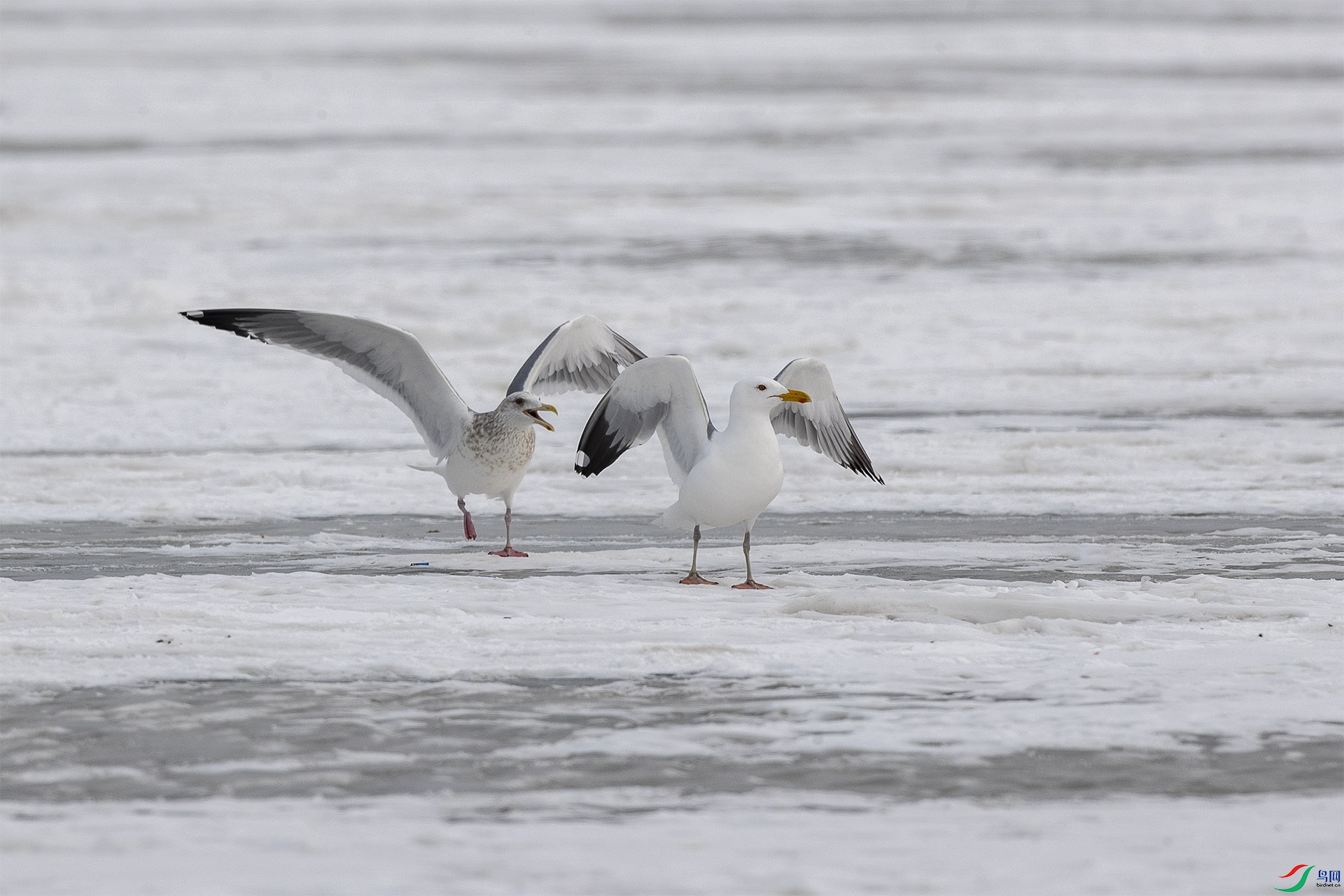 CD0I5576 ����.jpg