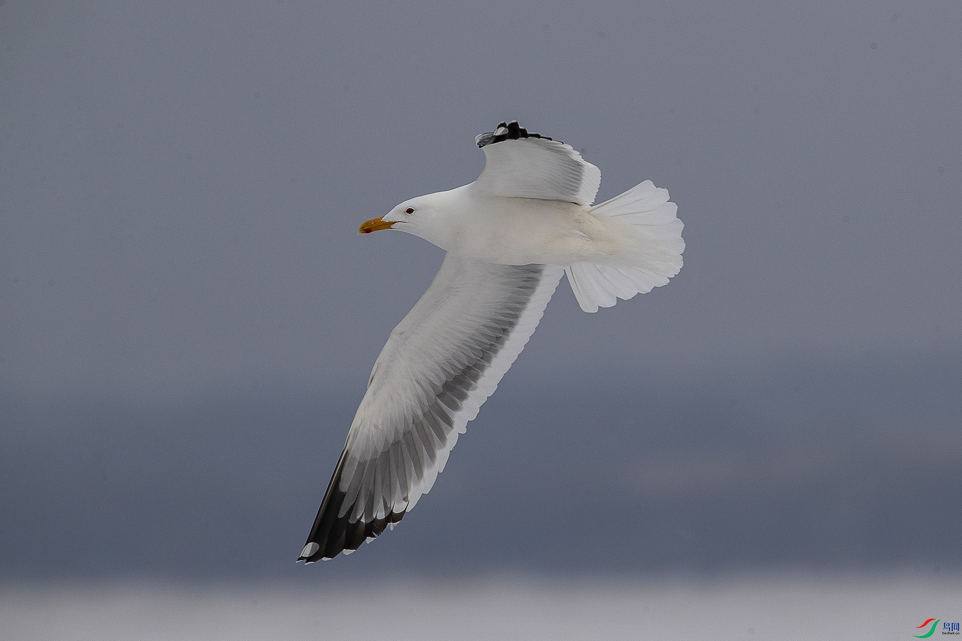 CD0I5342 ����.jpg