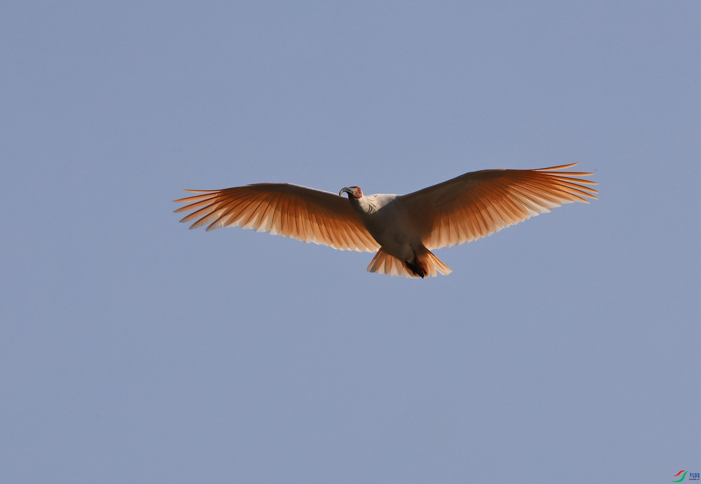 ���q - ����.JPG