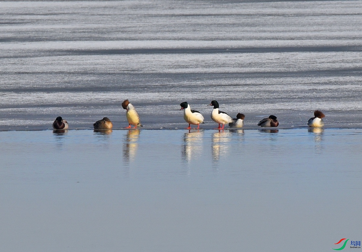 DSC_2444.jpg