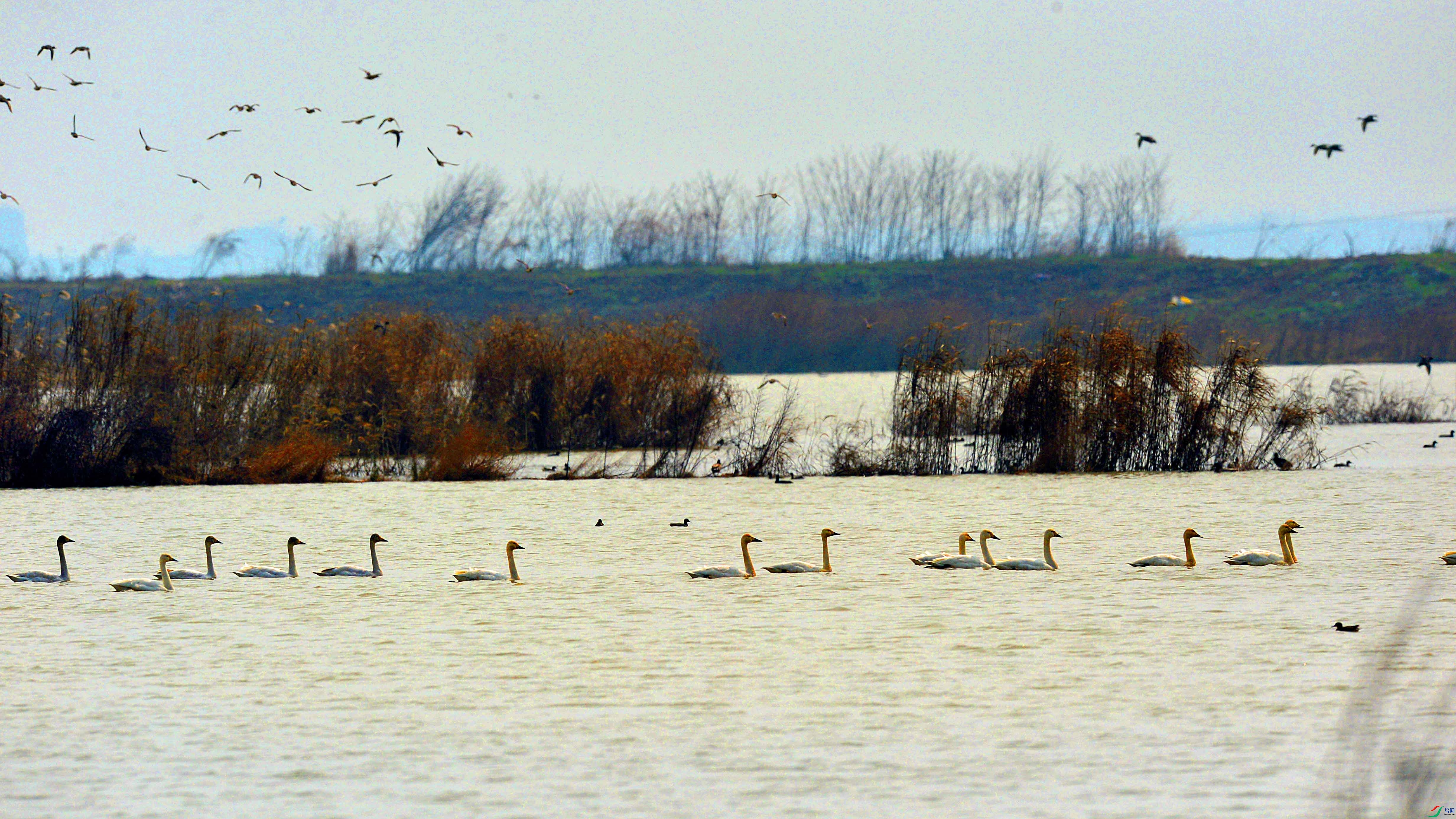 DSC_9446.jpg