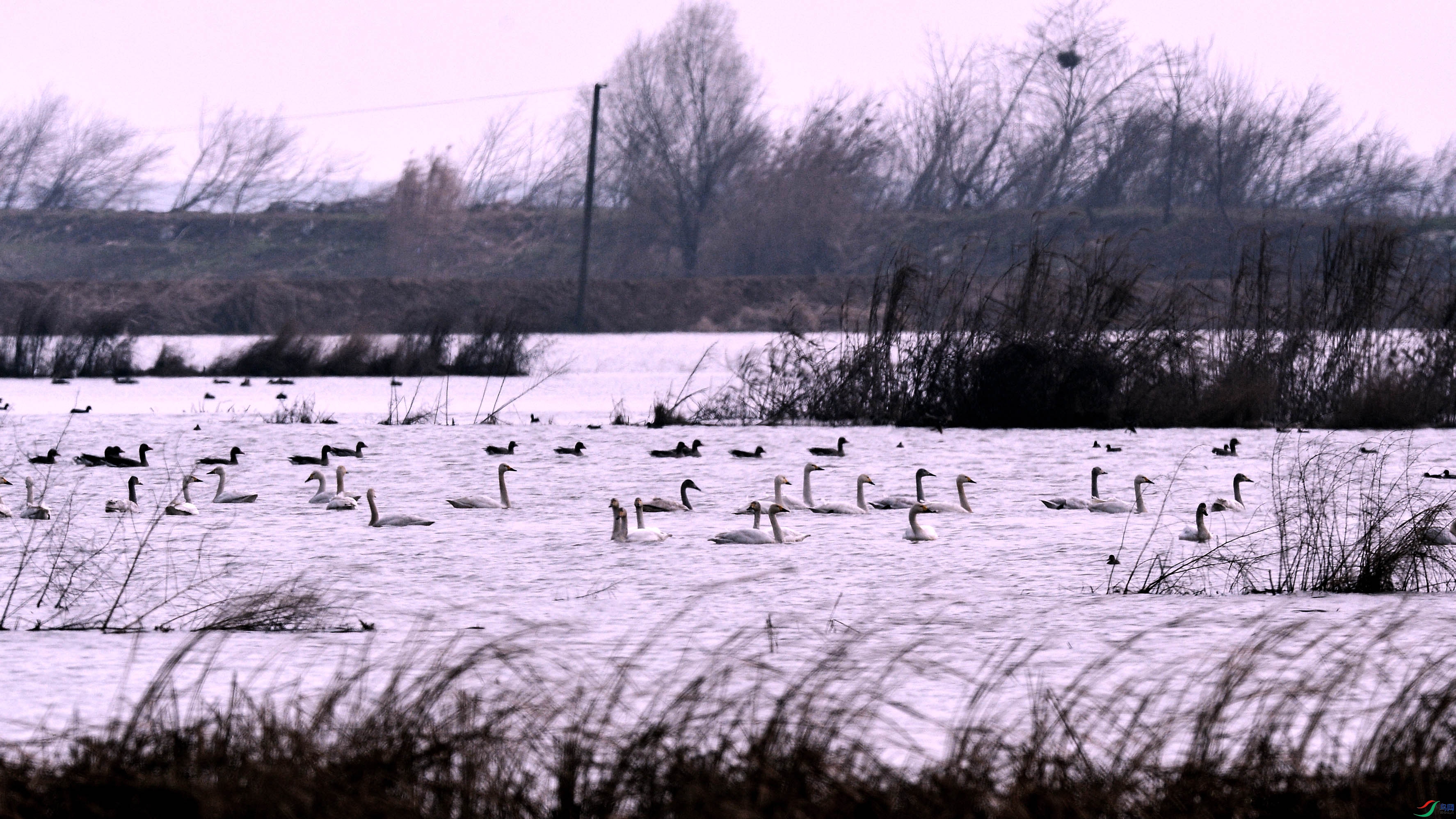 DSC_9394.jpg