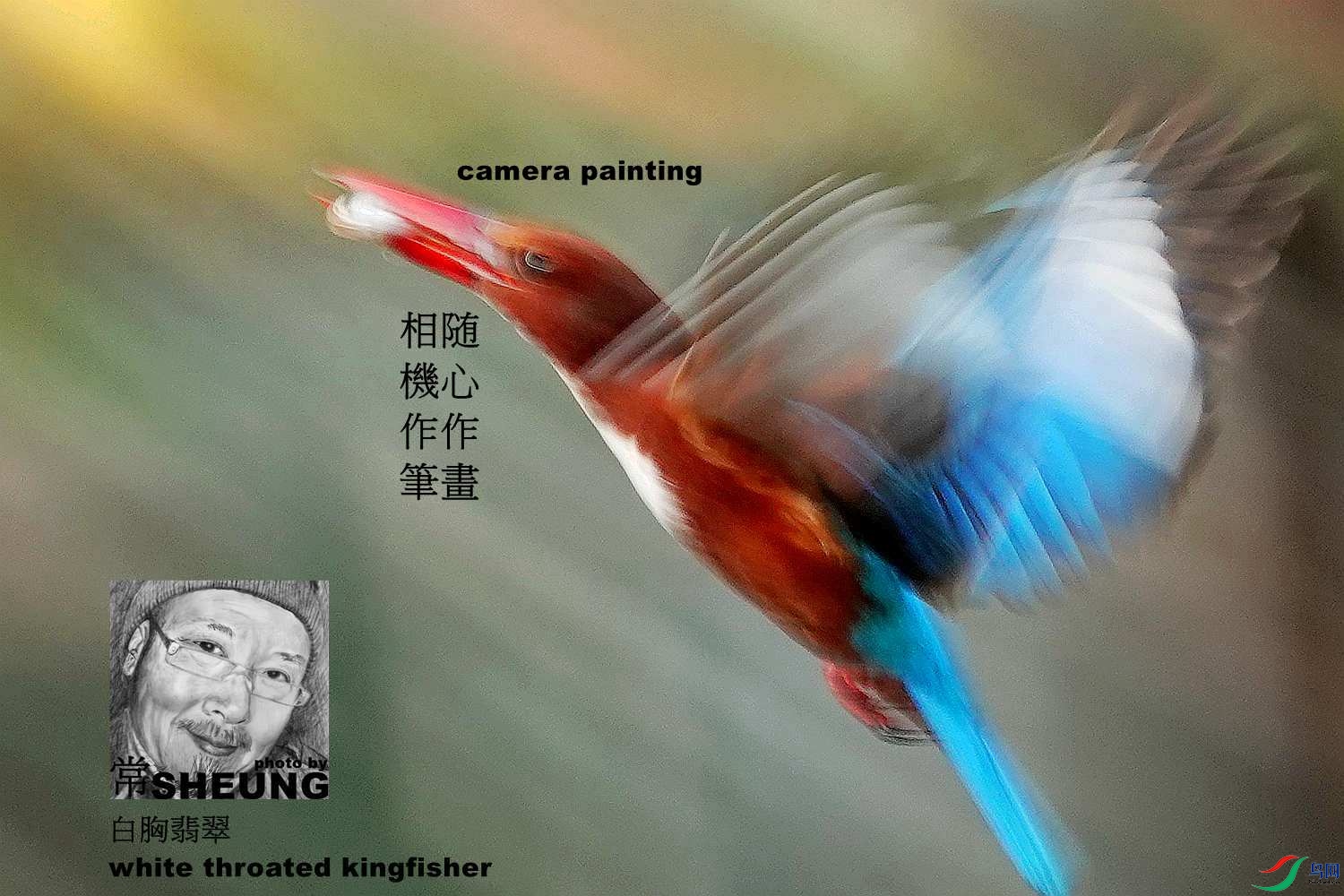 sd DSC03569 3nmente.jpg